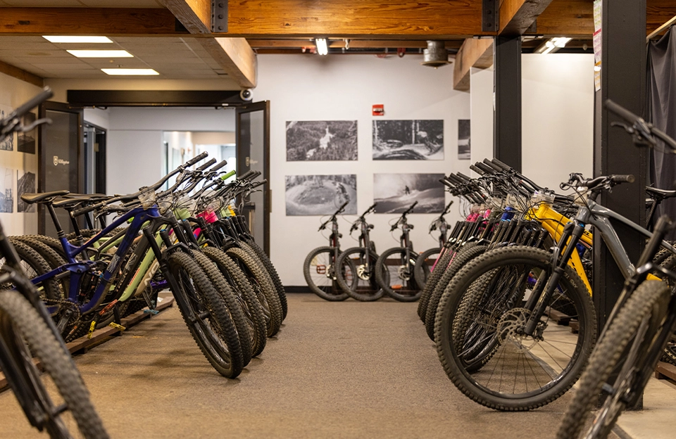 Freeride bike shop online