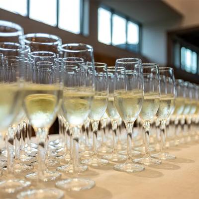 Row of sparkling wine glasses set on a table, with soft lighting and a blurred background.