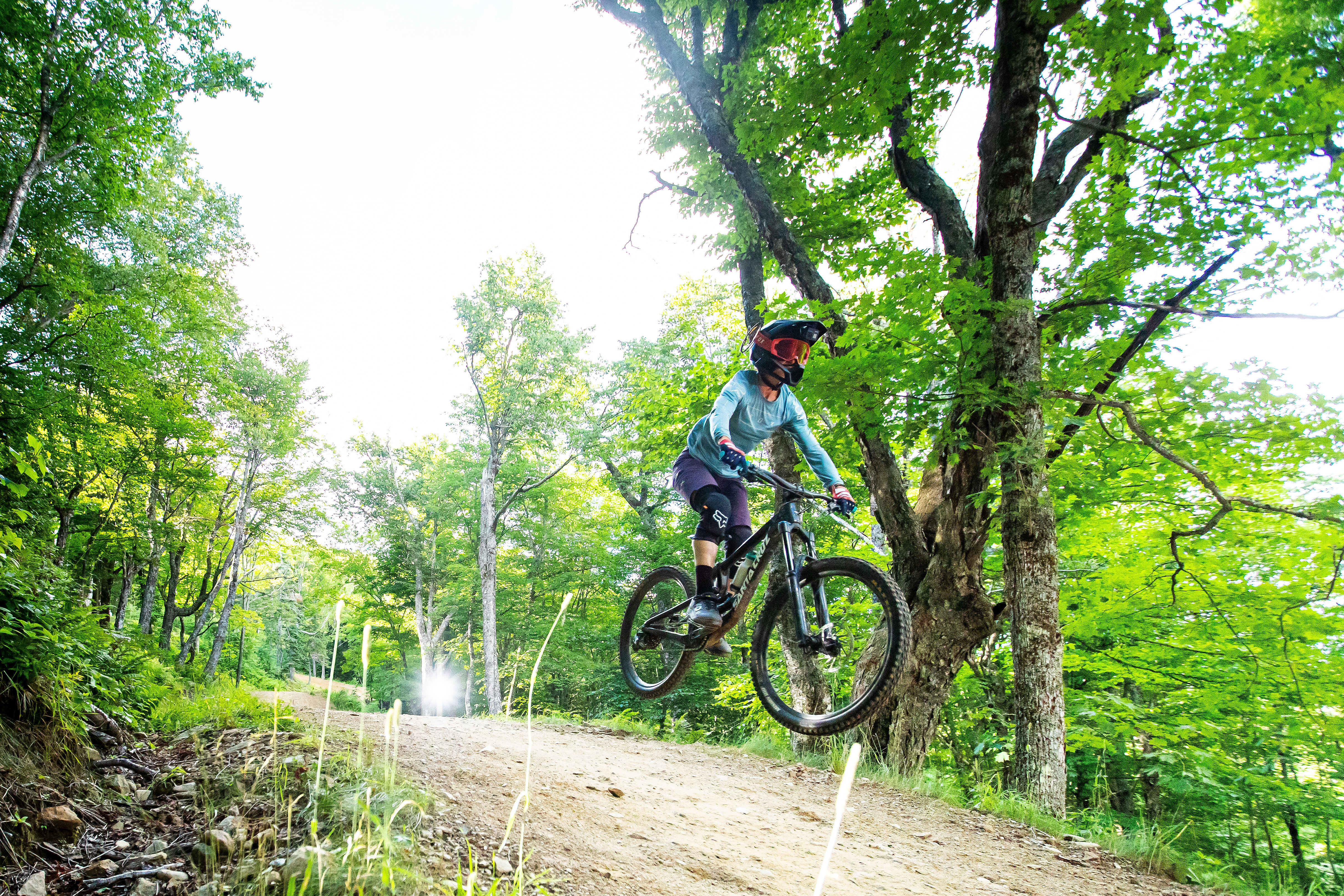 A mountain biker jumps on a trail surrounded by lush green trees.
