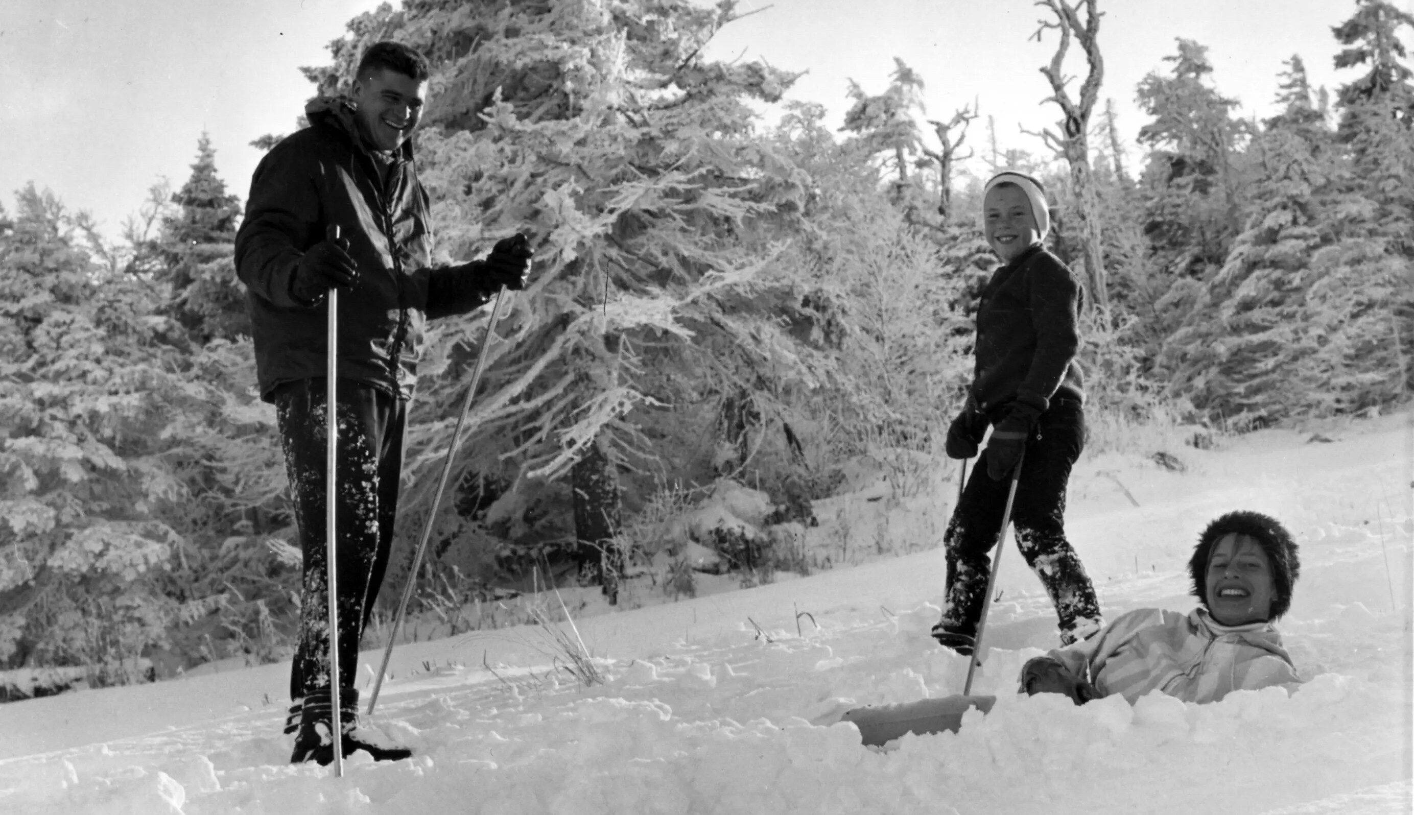 Three people enjoy winter activities in a snowy forest, laughing and playing.