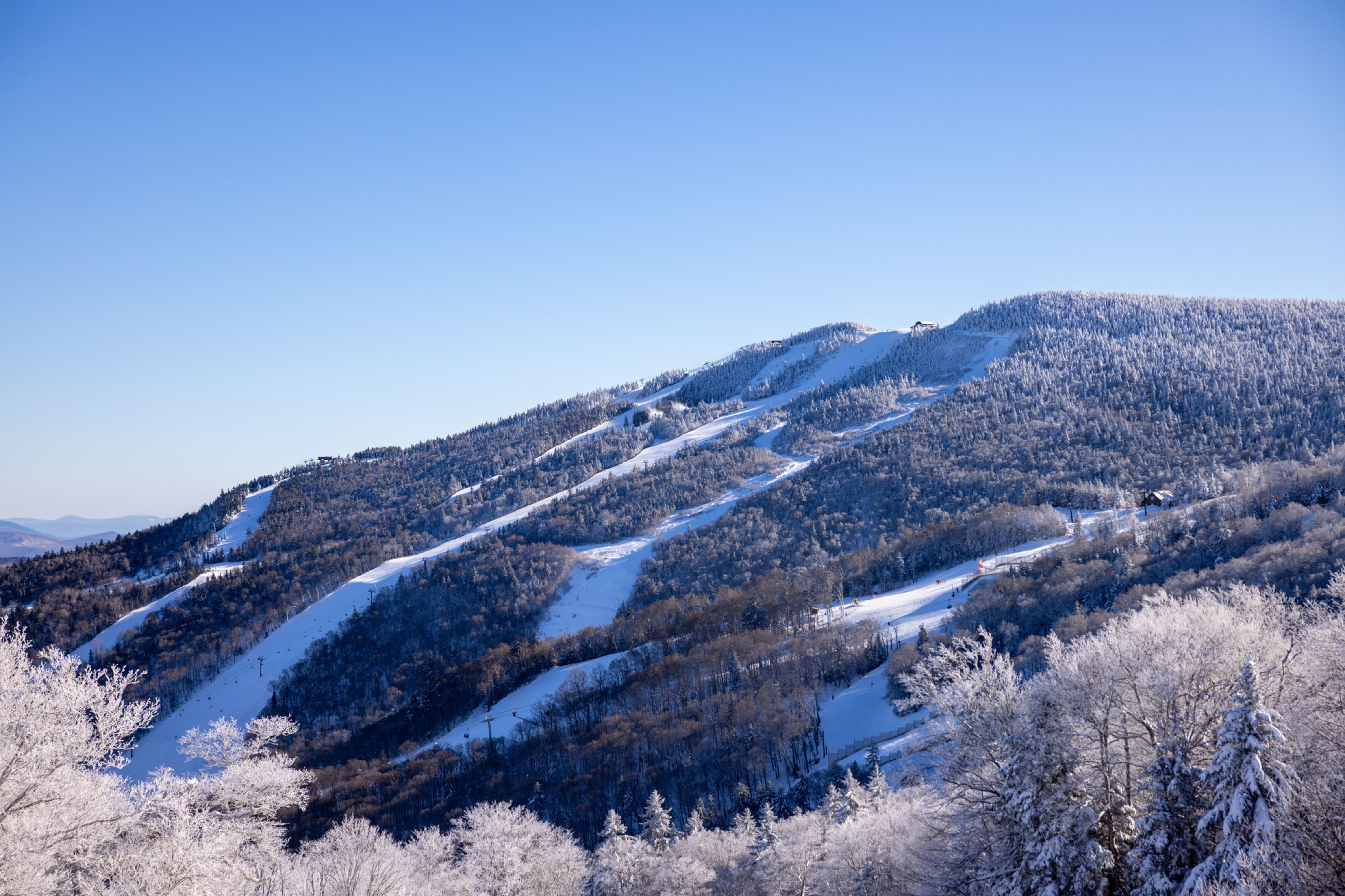 Snow-covered mountains under a clear blue sky, featuring ski trails and trees.