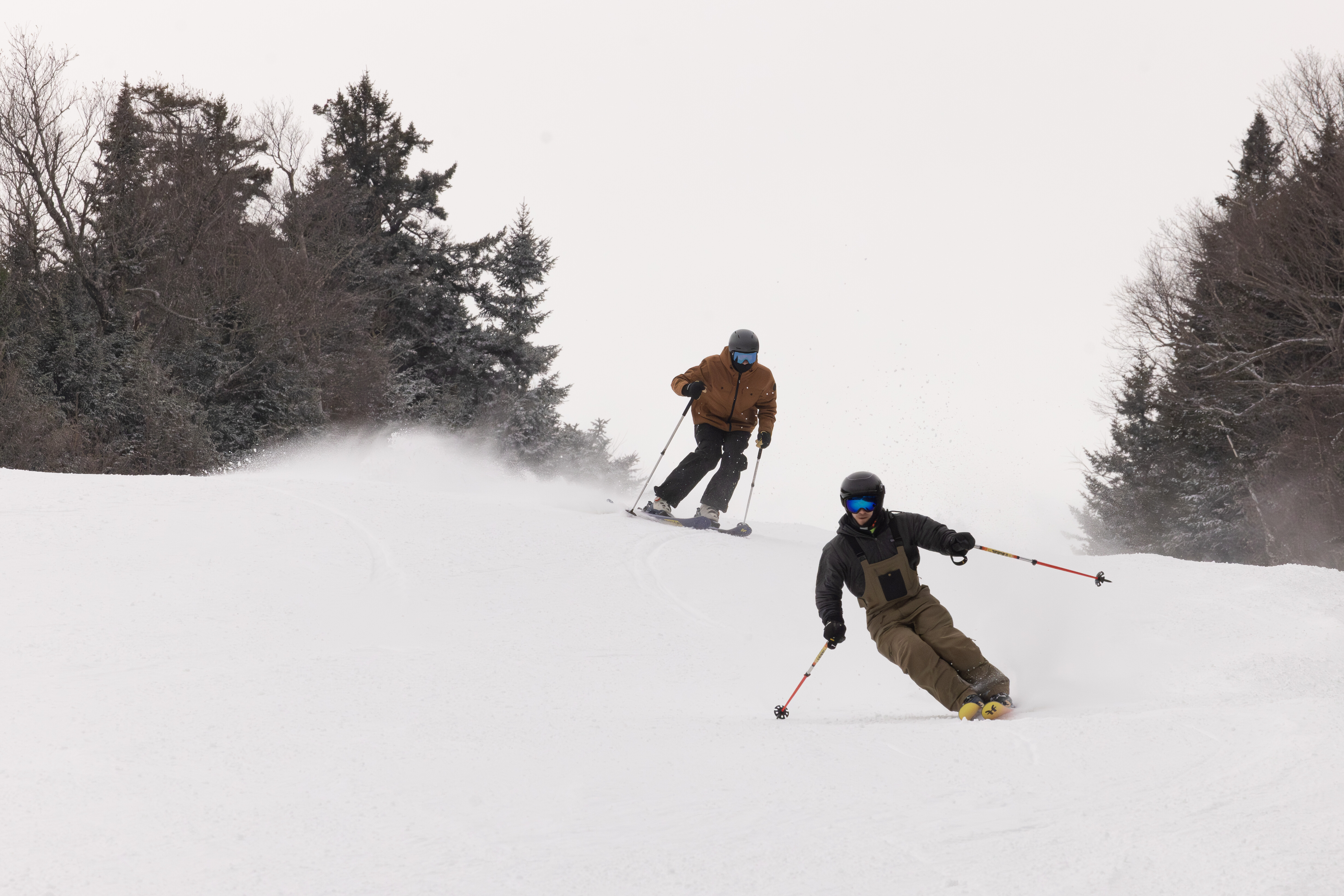 Two skiers descend a snowy slope amid trees on a cloudy day.