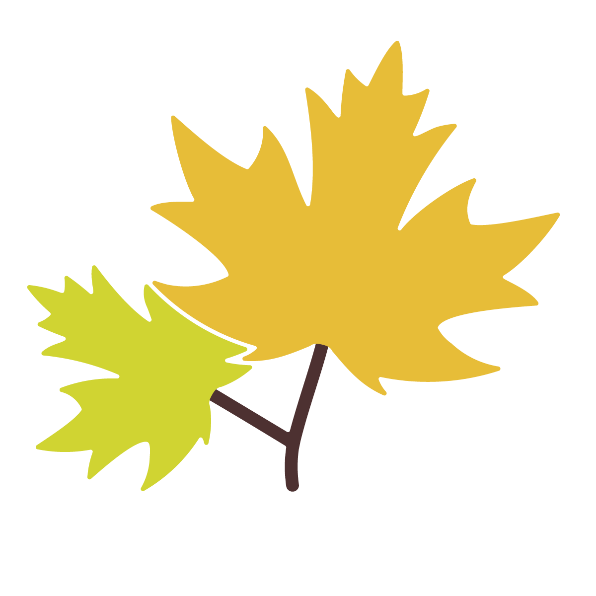 Illustration of two colorful leaves, one yellow and one light green, on a brown stem.