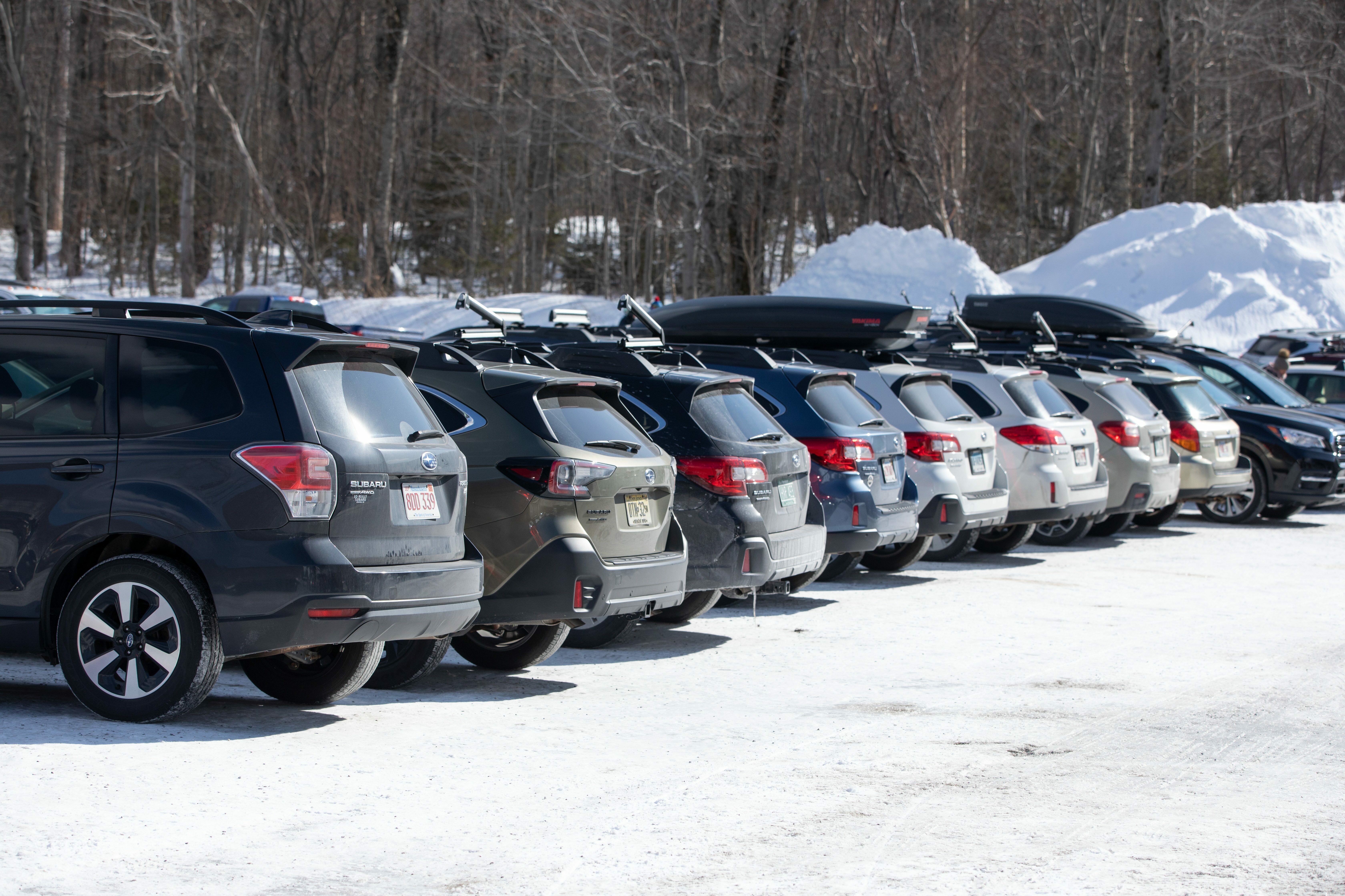 A row of parked Subarus in a snowy parking lot surrounded by trees.