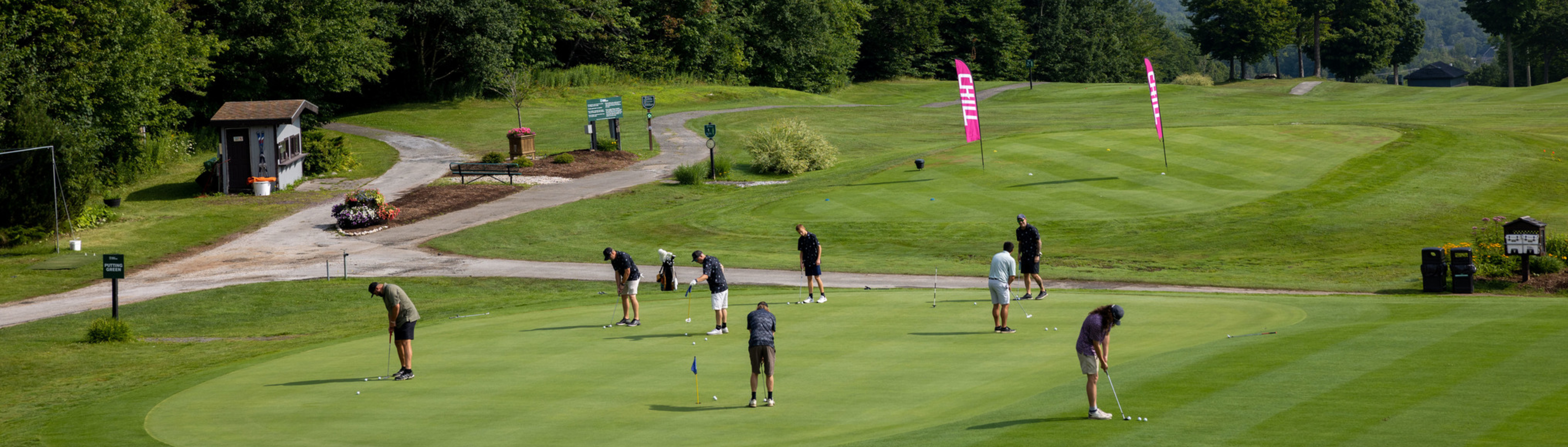 Golfers practicing putting on a green, surrounded by trees and colorful flags.