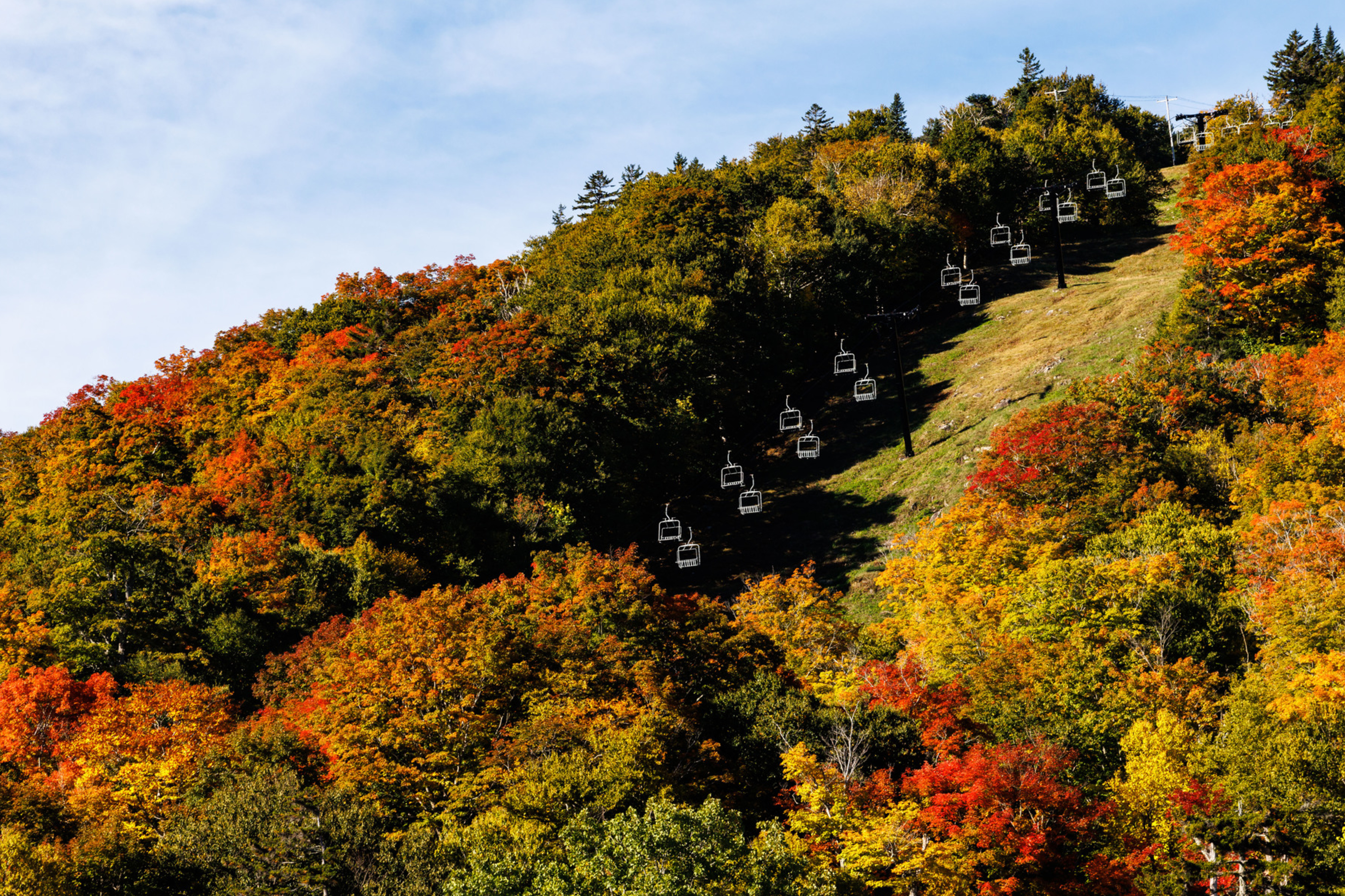 Autumn foliage with colorful trees and ski lifts ascending a hillside.