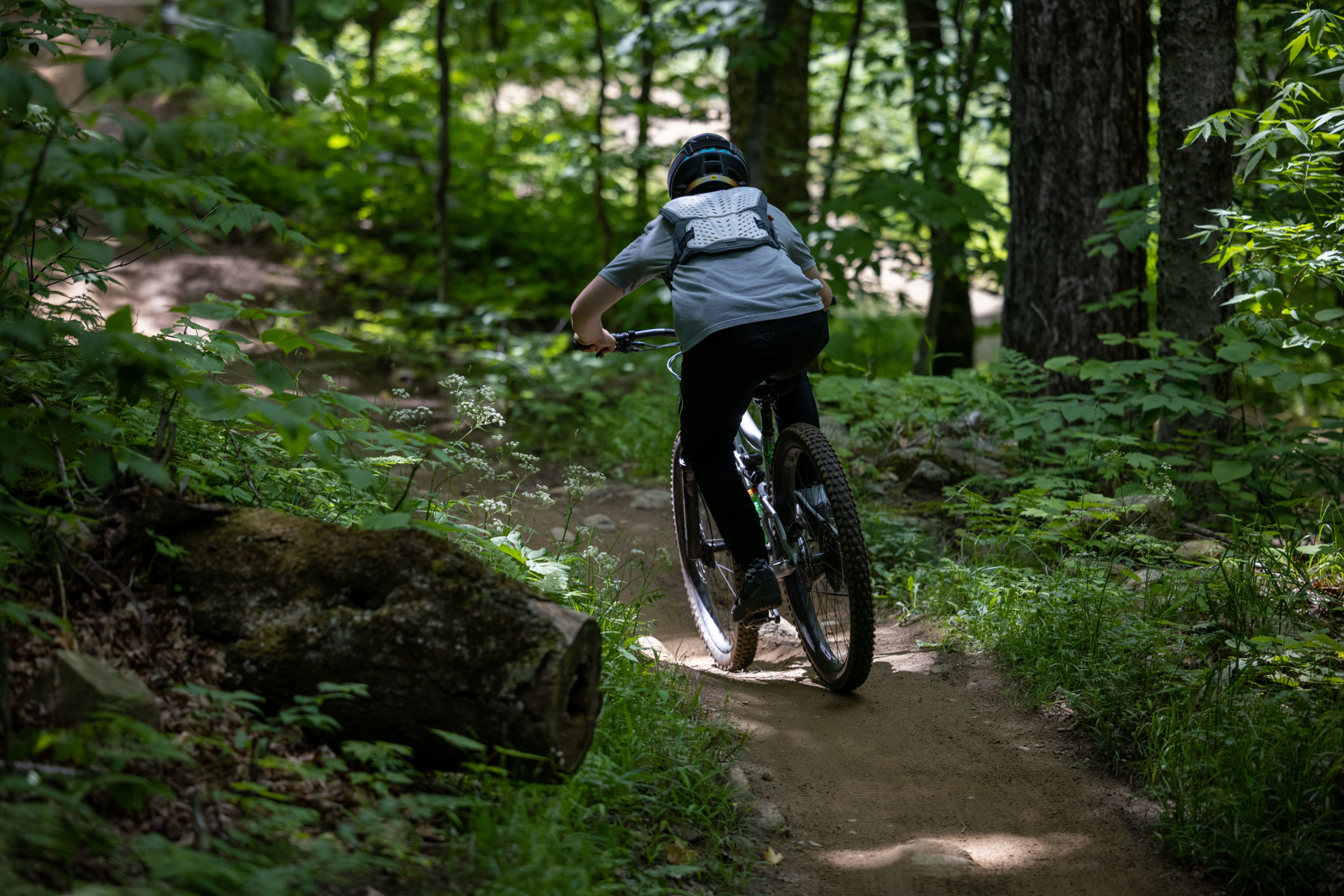 A child riding a mountain bike on a forest trail, surrounded by greenery.