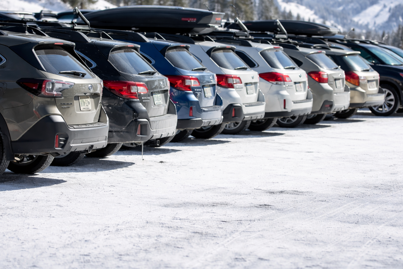 A row of parked SUVs on a snowy lot with mountains in the background.