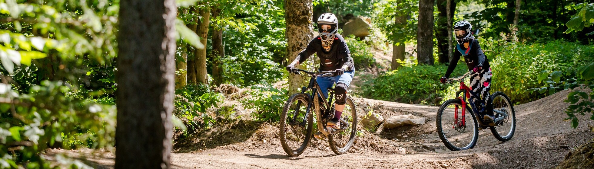 Two mountain bikers ride on a dirt trail through a lush green forest.