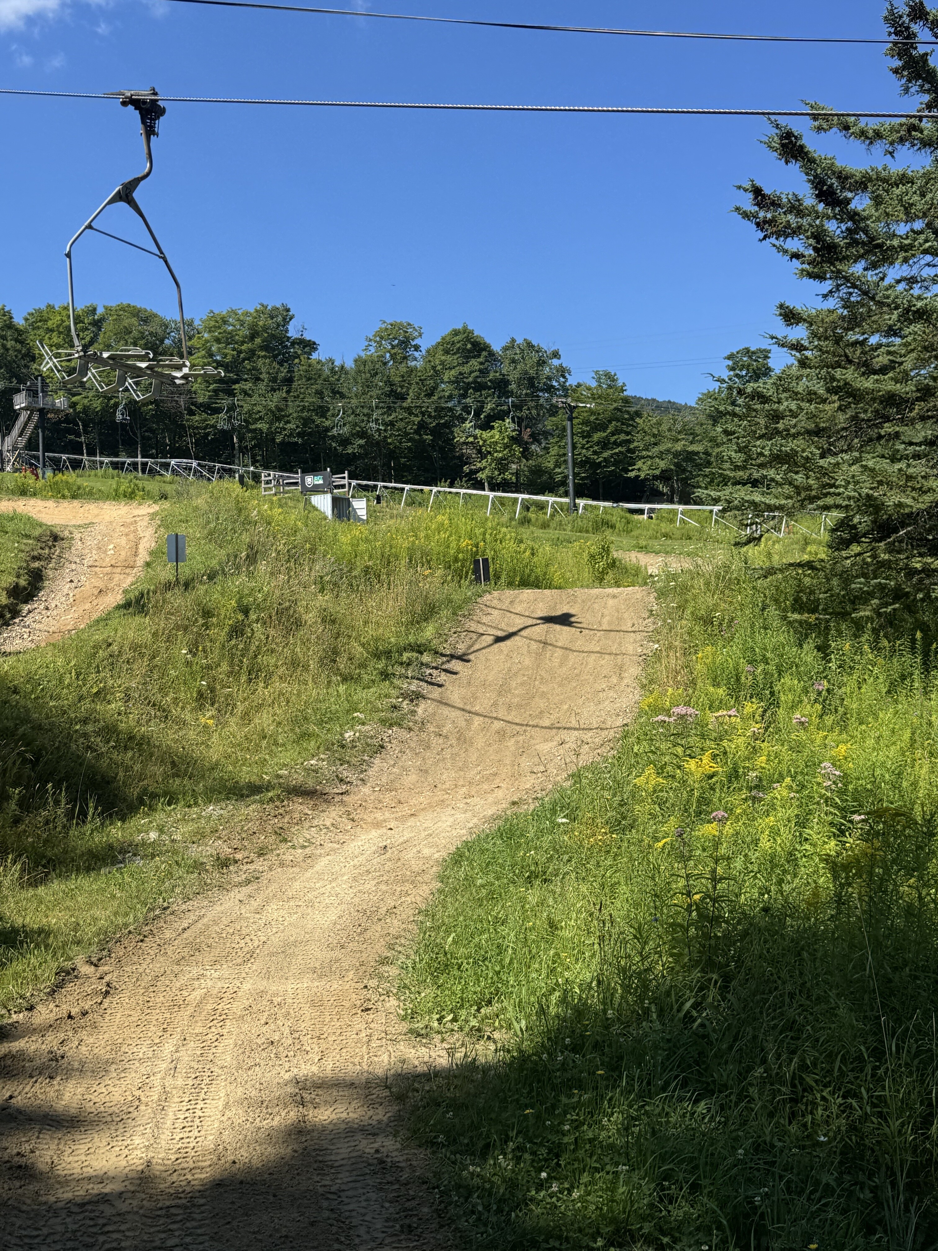 Mountain bike trail winding through lush greenery with a chairlift above under a blue sky.