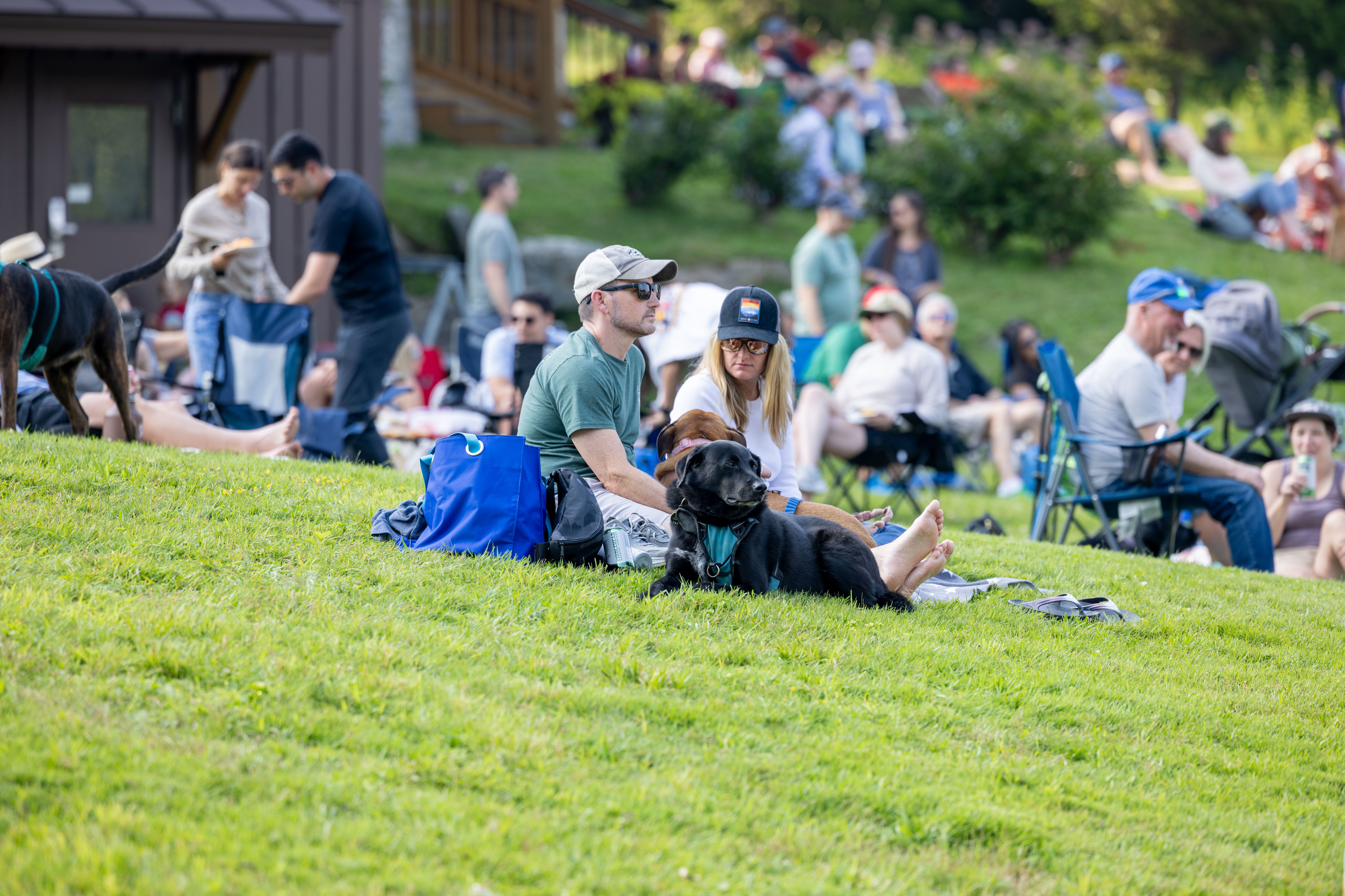 A couple sits on a grassy hill with their dog, surrounded by a crowd enjoying an outdoor event.