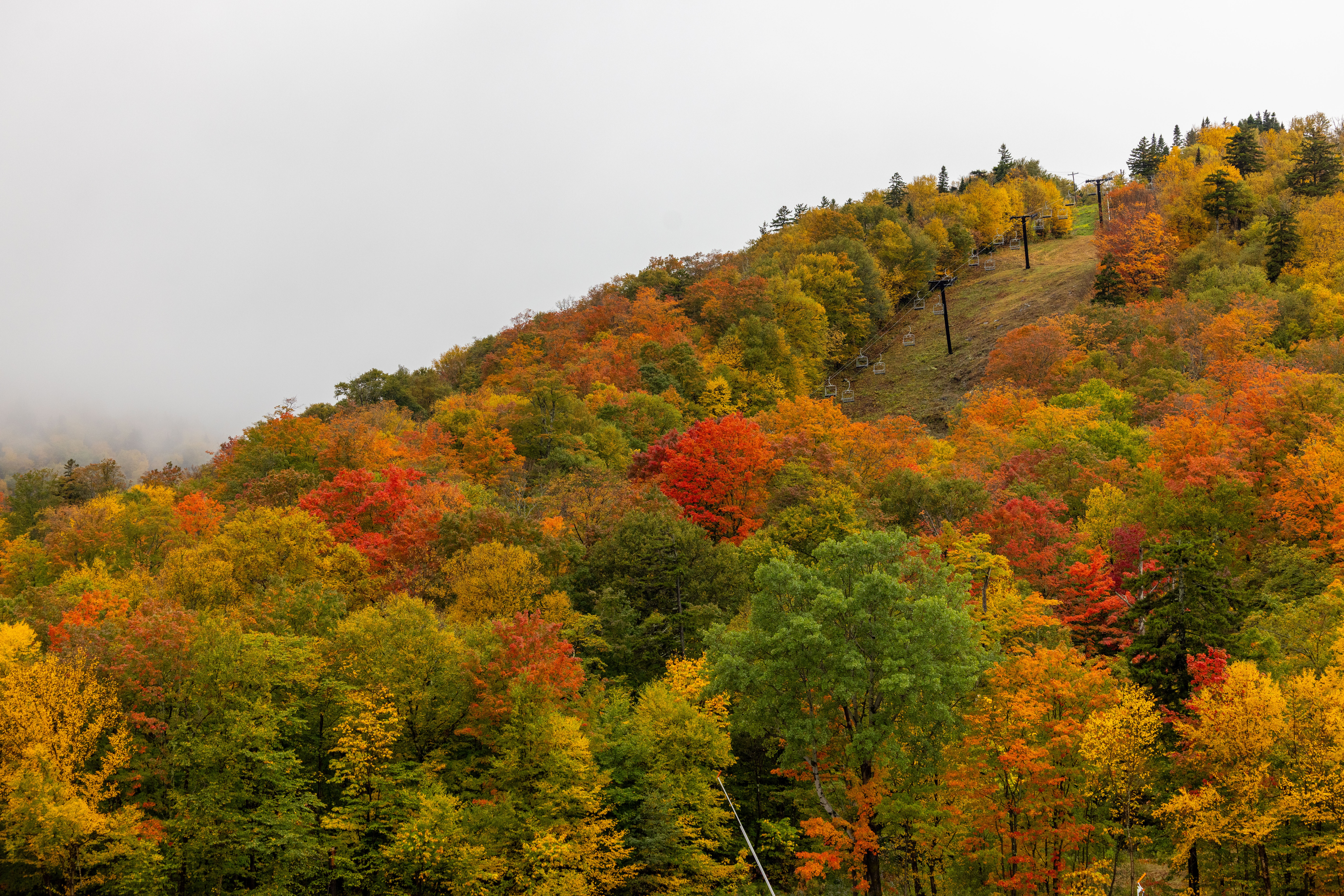 Colorful autumn foliage covers a hillside under a cloudy sky.