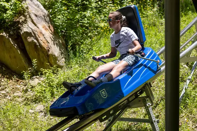 Child riding a blue alpine coaster in a lush, green outdoor setting.