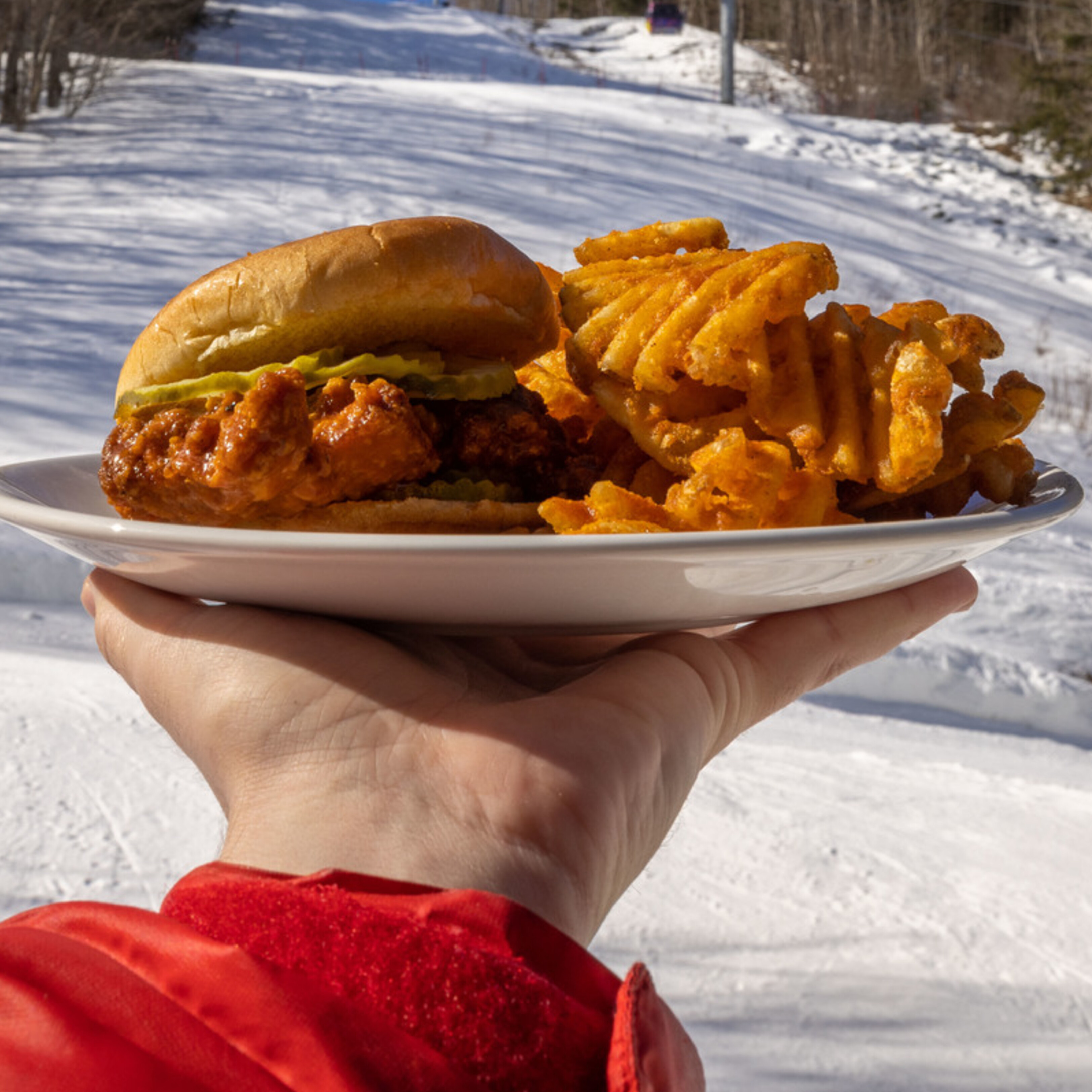 Hand holding a plate with a chicken sandwich and waffle fries against a snowy backdrop.