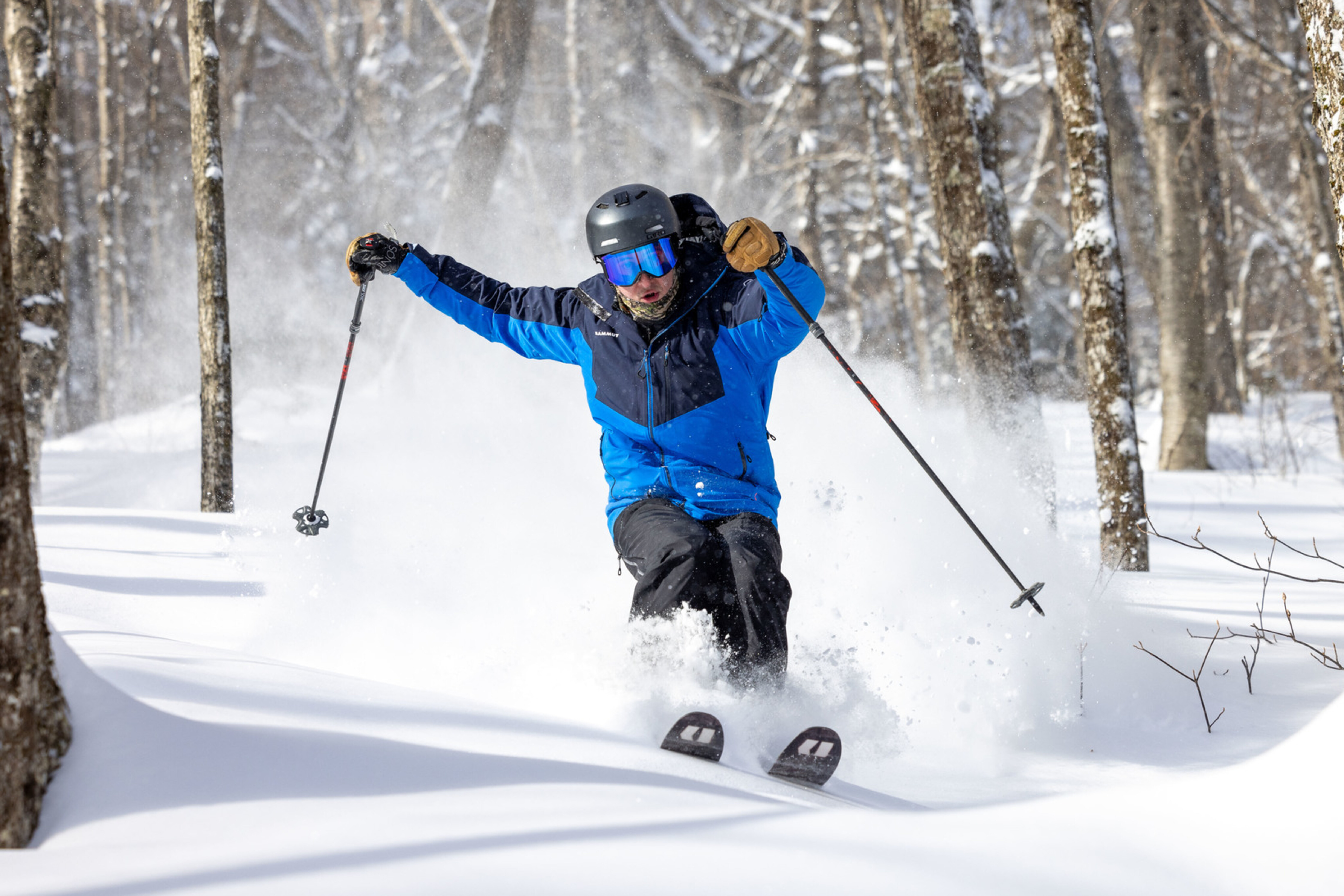 Skier in blue jacket gliding through deep snow between trees on a sunny day.