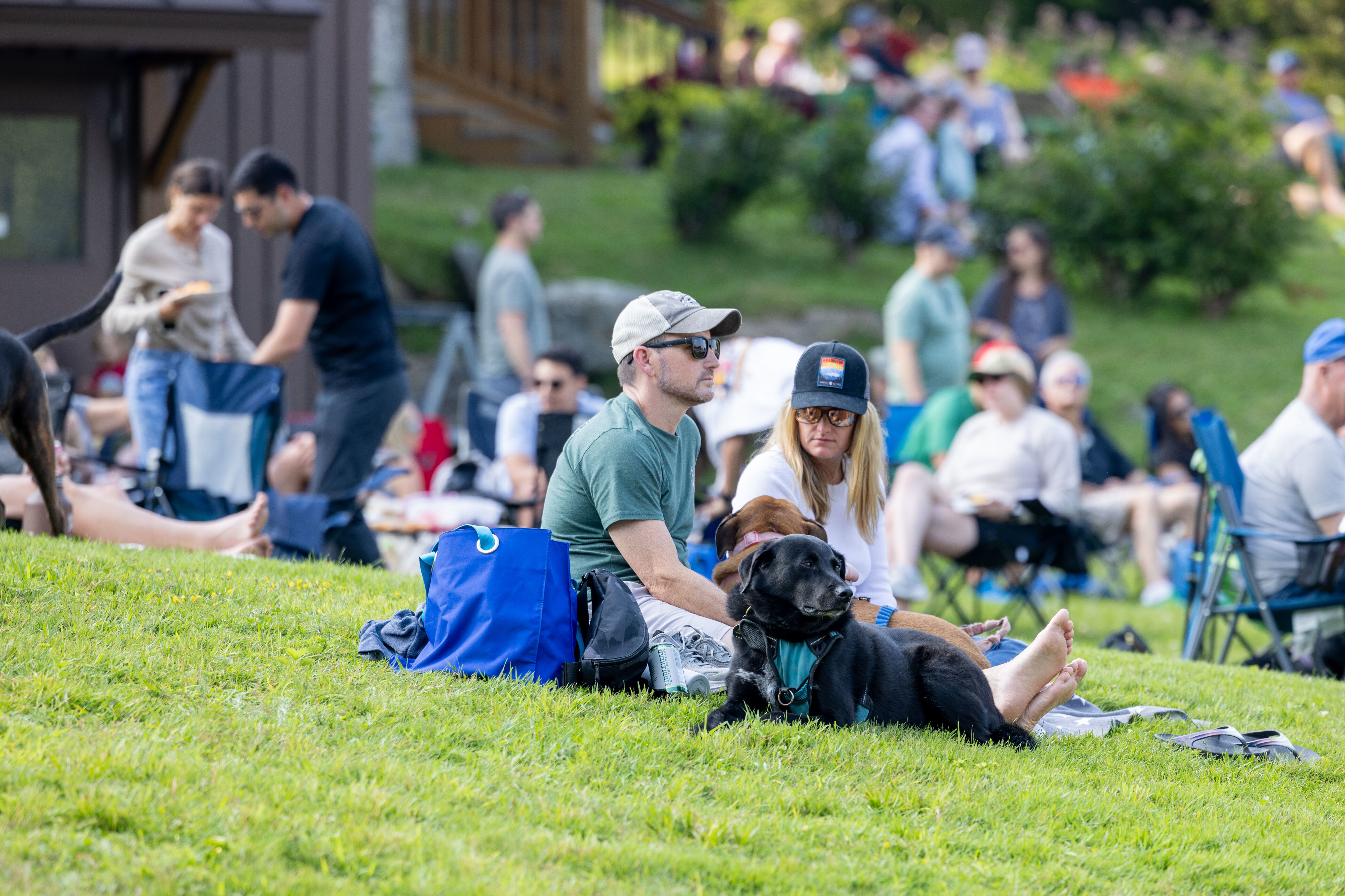 A couple sits on the grass with their dogs, enjoying a sunny outdoor event with many attendees.