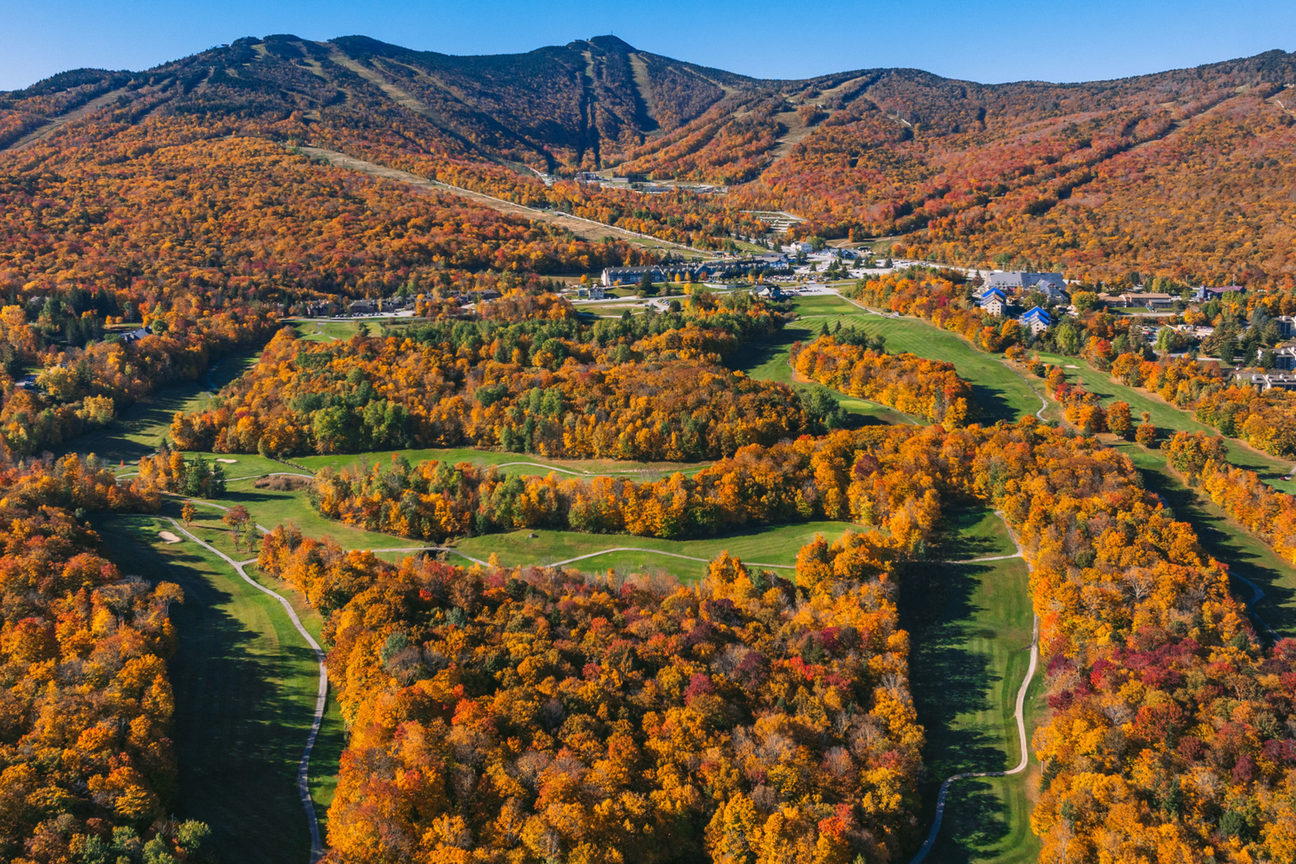 Vibrant autumn foliage covers rolling hills and winding paths in a scenic landscape.
