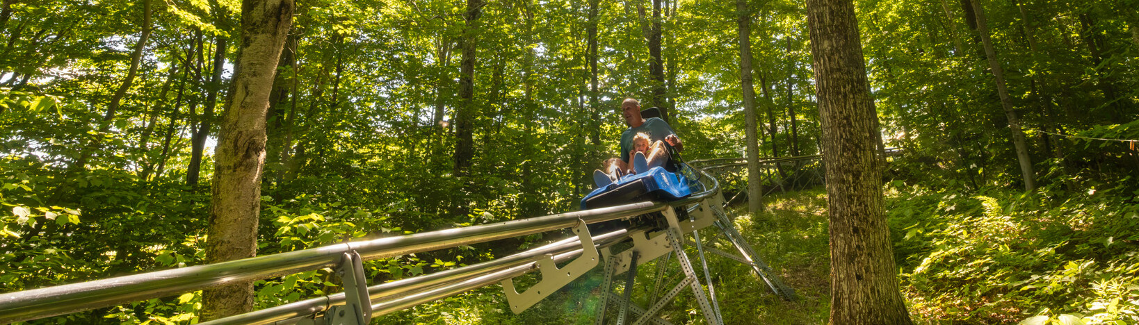 A person and a child ride a mountain coaster through a lush, green forest.