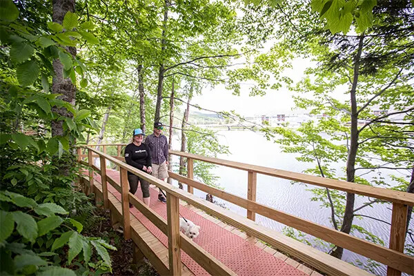 Two people walk a dog along a wooden pathway by a river, surrounded by trees.