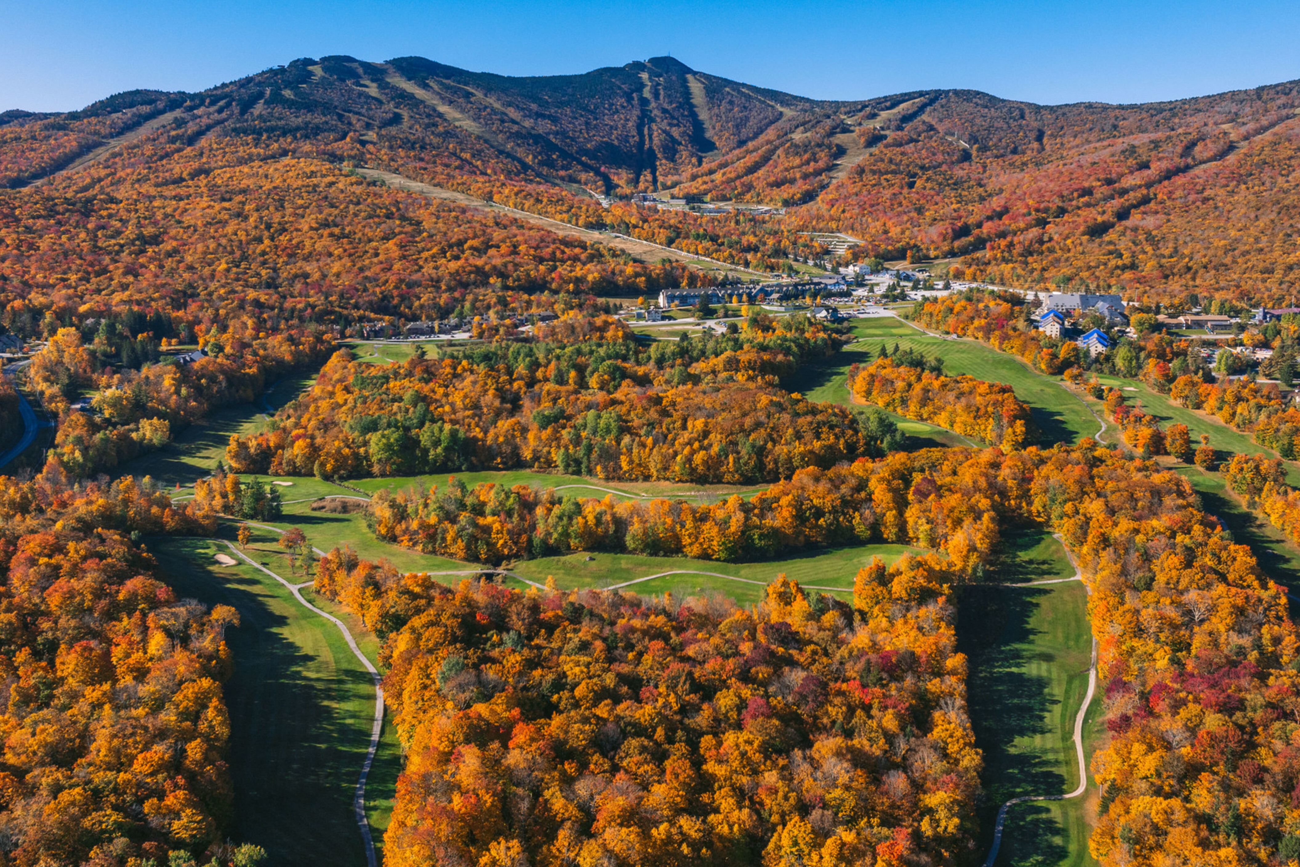 Aerial view of colorful autumn trees and rolling hills under a clear blue sky.