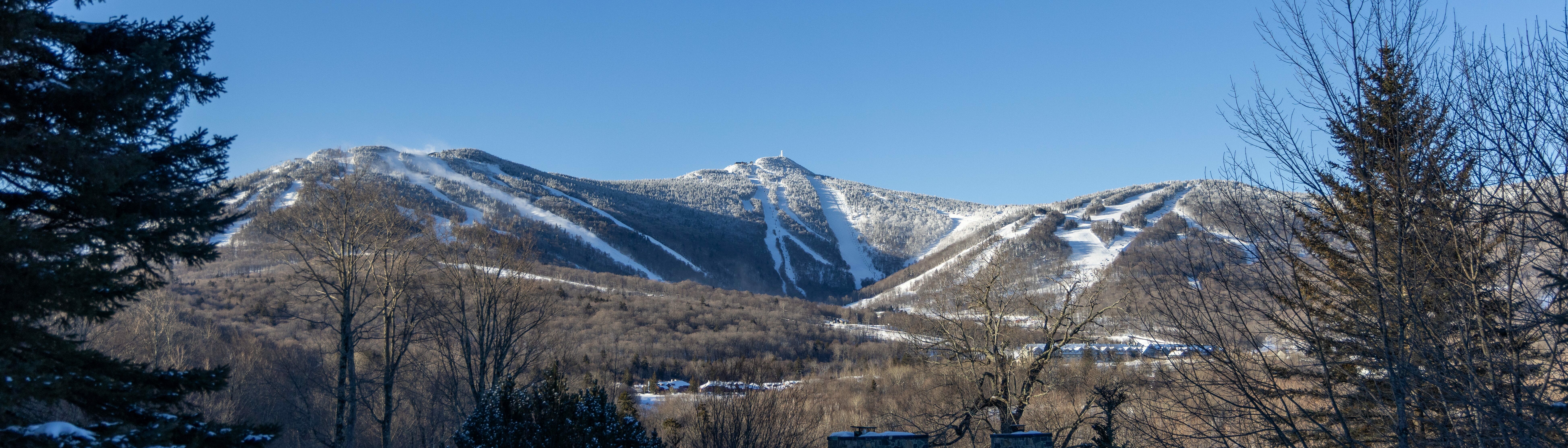 Snow-covered mountains under a clear blue sky, framed by trees in the foreground.