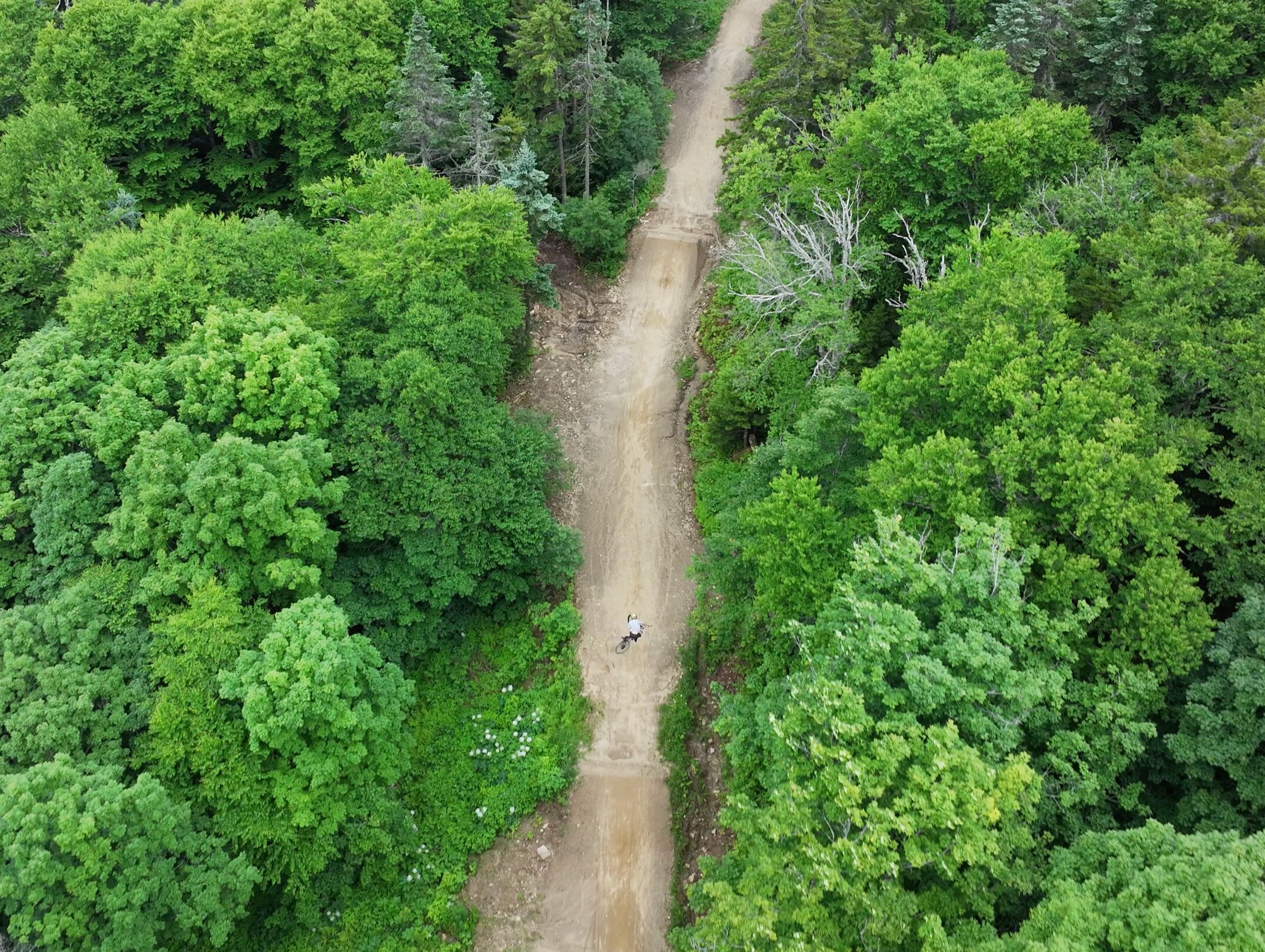 Drone photo of a rider on Black Magic during its 2026 opening day.
