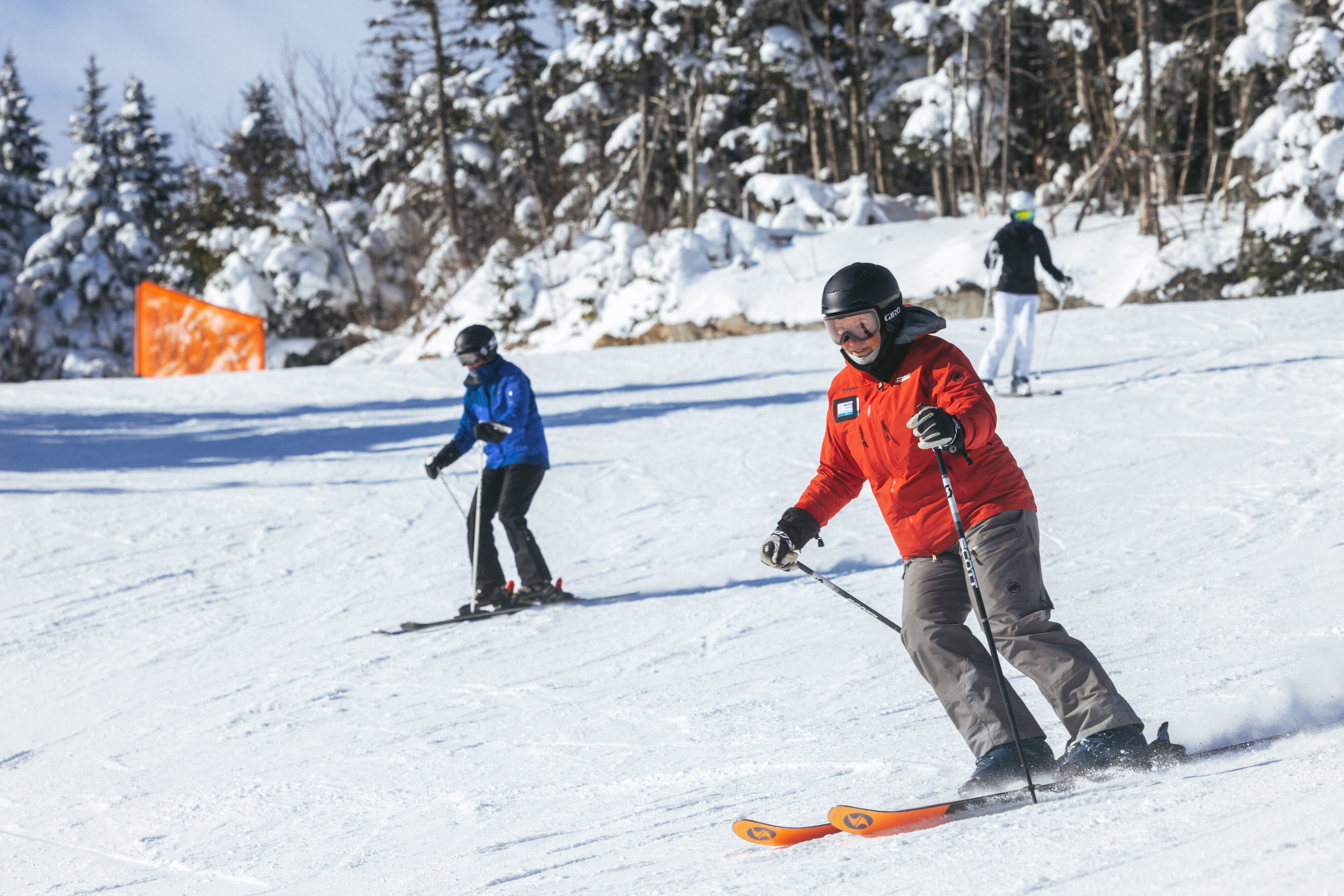 Two skiers navigate a snowy slope with trees in the background.