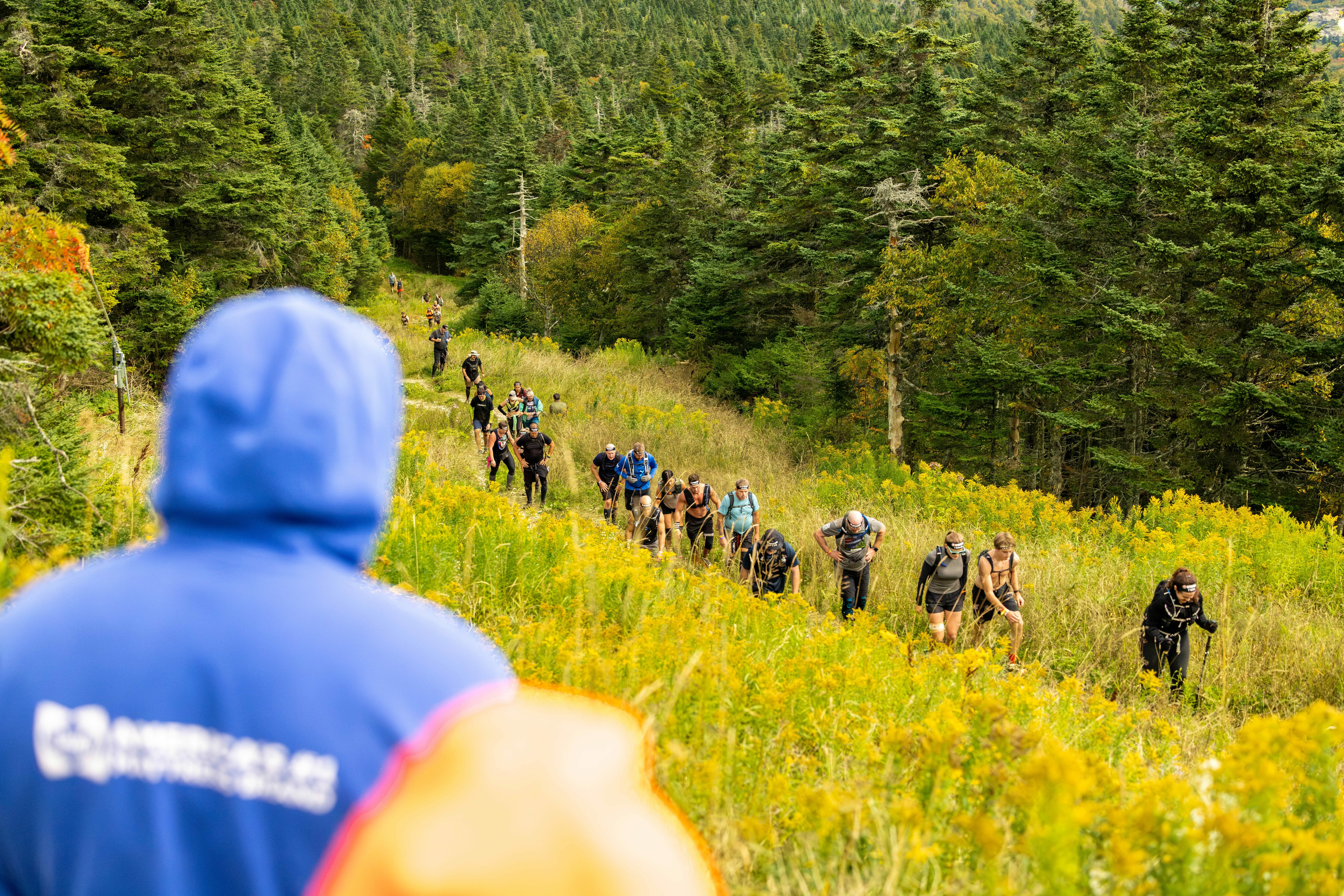 A group of hikers ascends a verdant trail surrounded by trees and wildflowers.