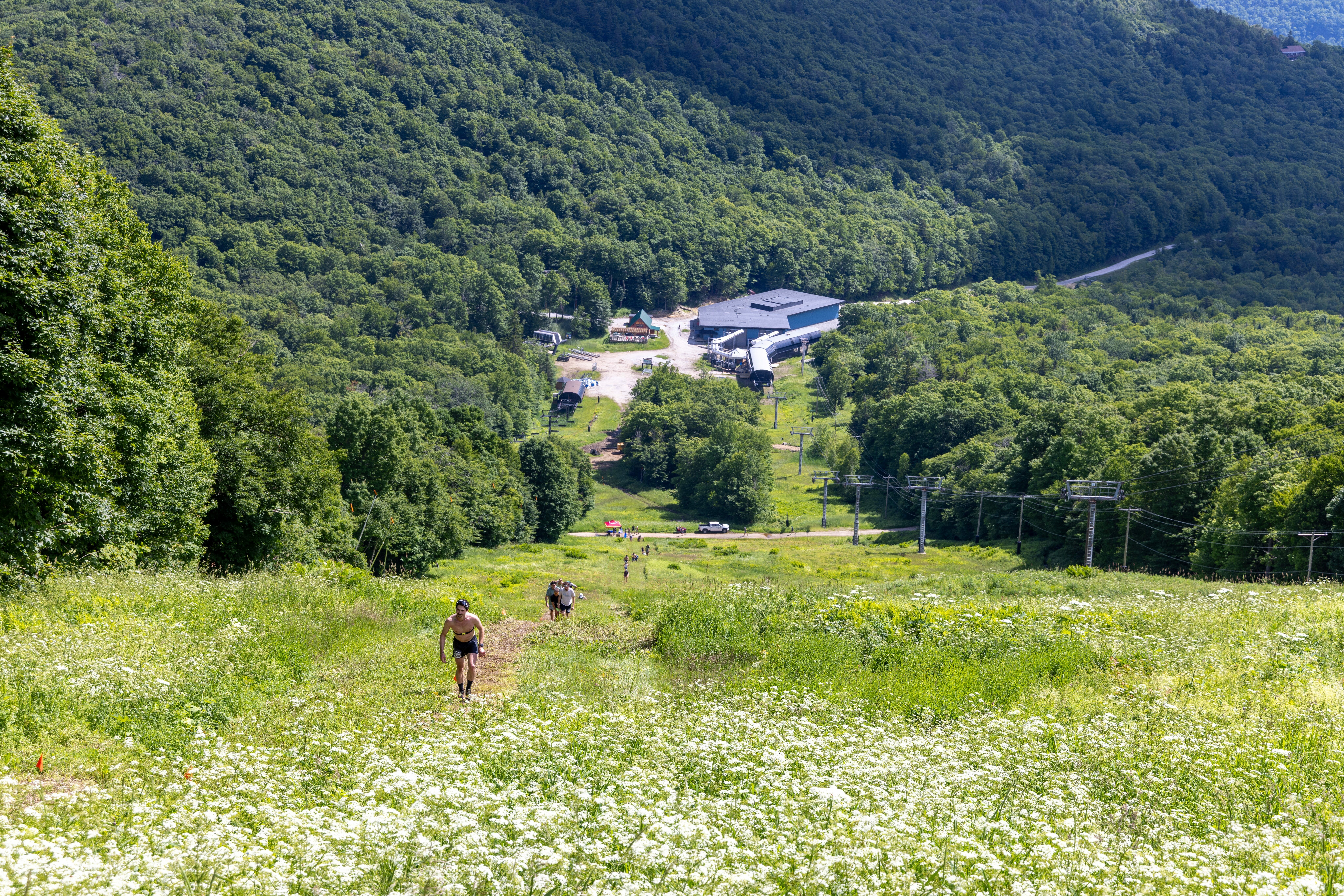 Race participants ascend a grassy slope with wildflowers, overlooking a wooded valley