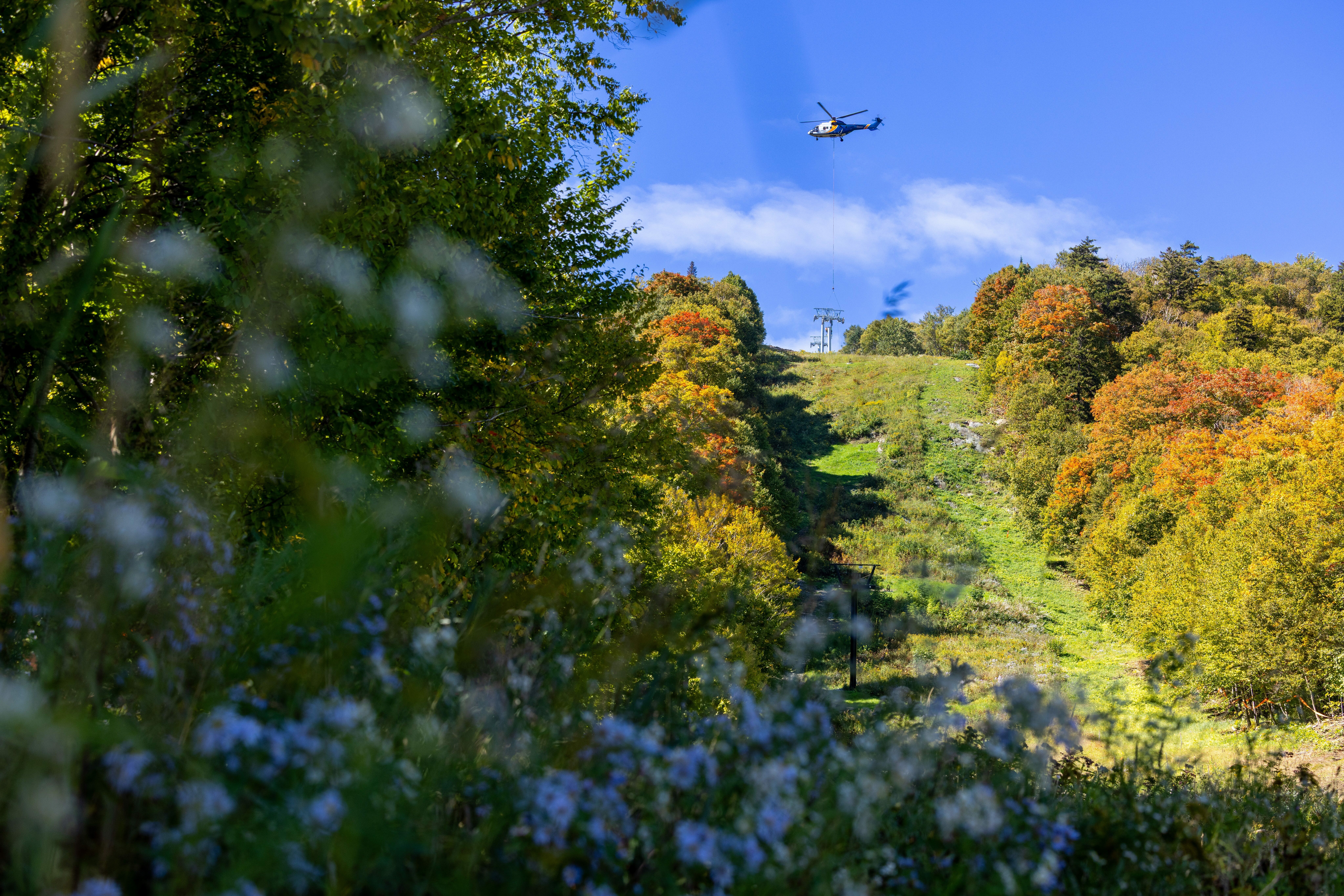 Helicopter flying over a colorful forest and grassy slope under a clear blue sky.