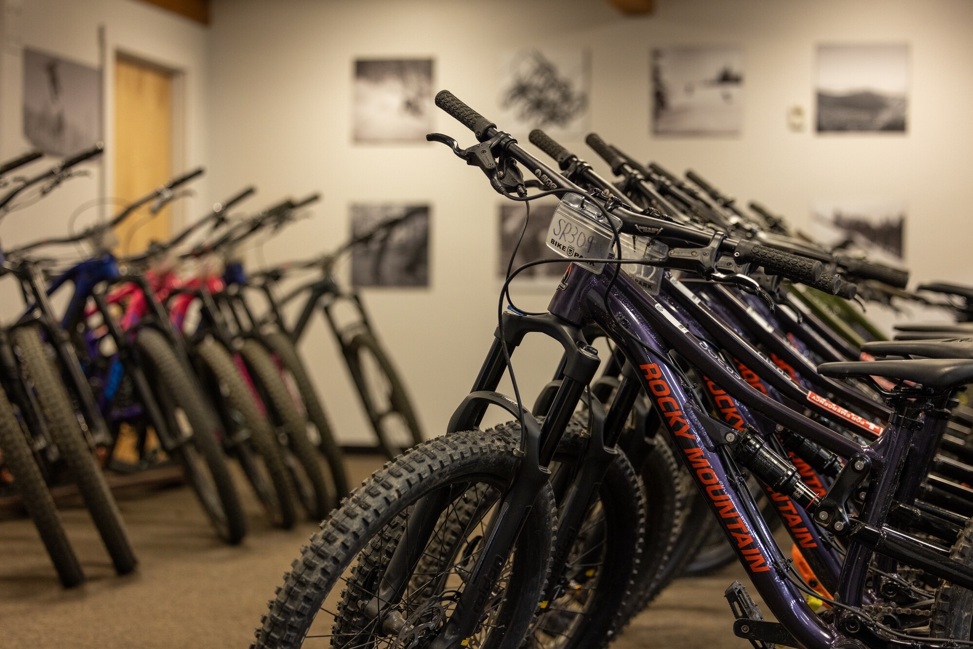 A row of mountain bikes lined up in the Killington Mountain Resort bike rental shop