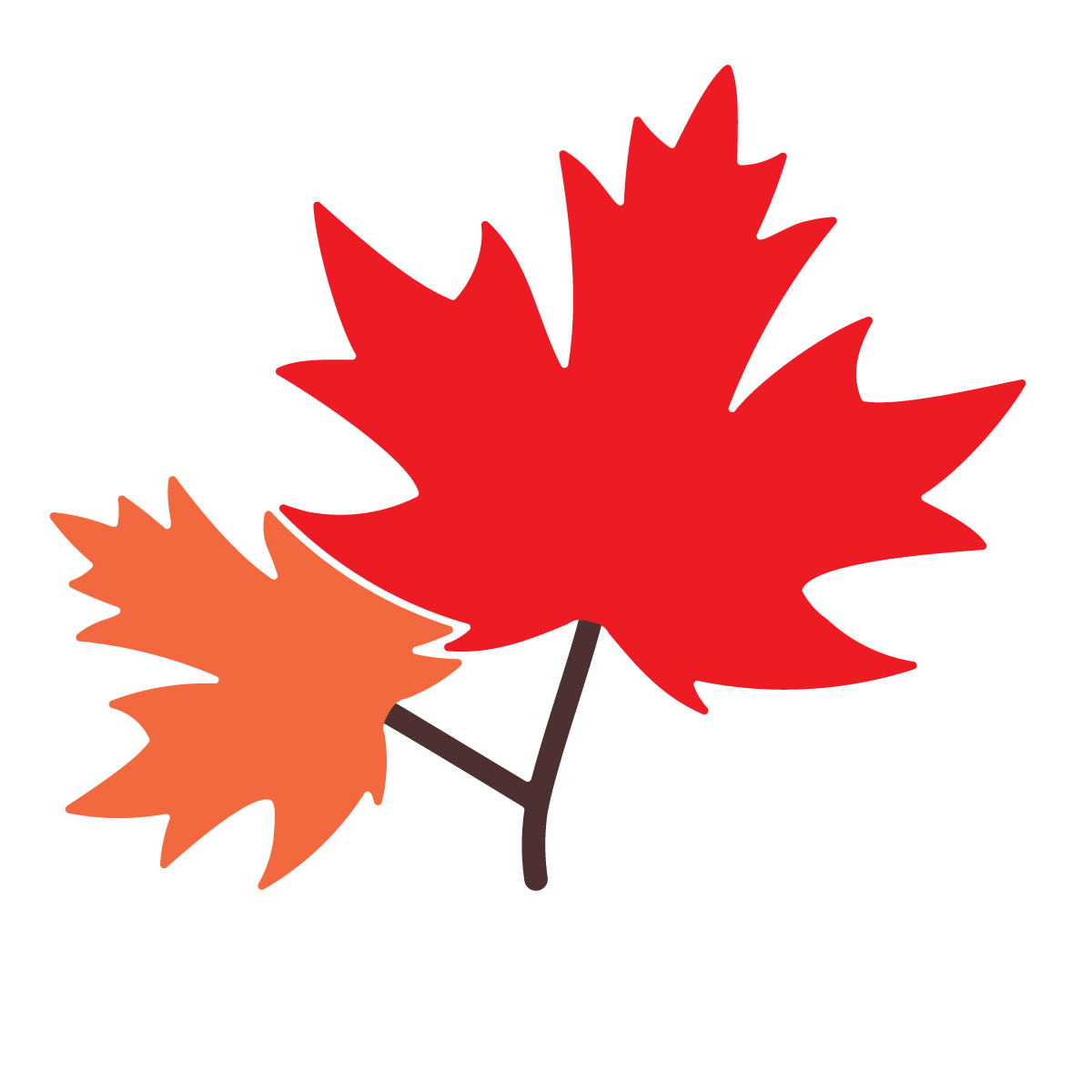 Two stylized maple leaves in red and orange on a branch.
