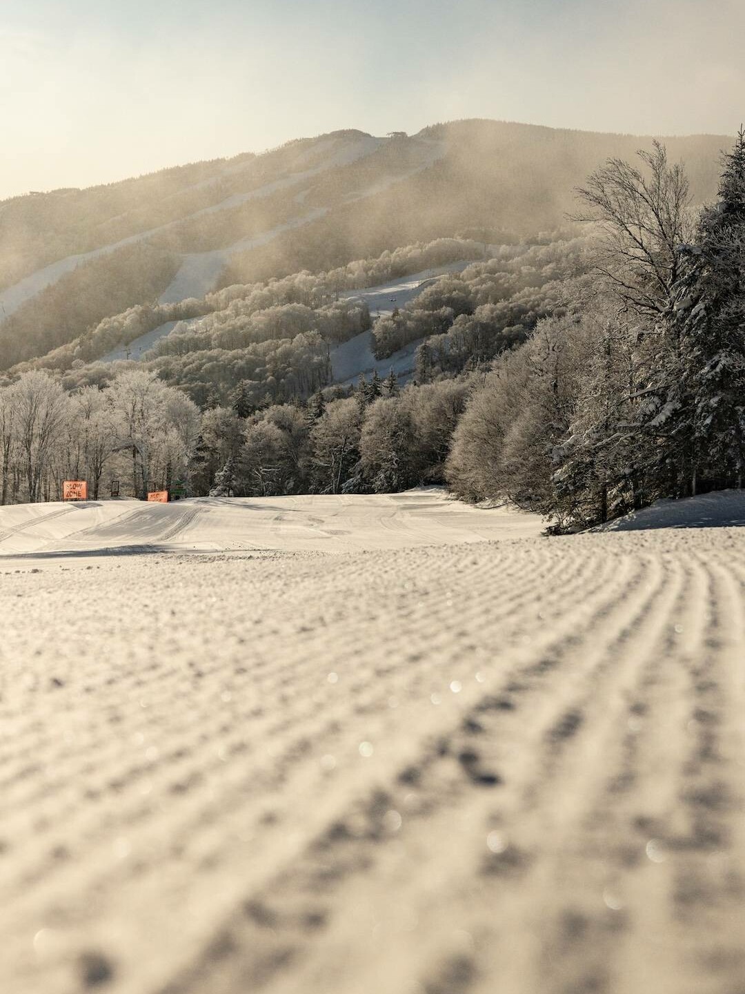 Snow-covered landscape under a serene sky, with ski tracks and forested hills in the distance.