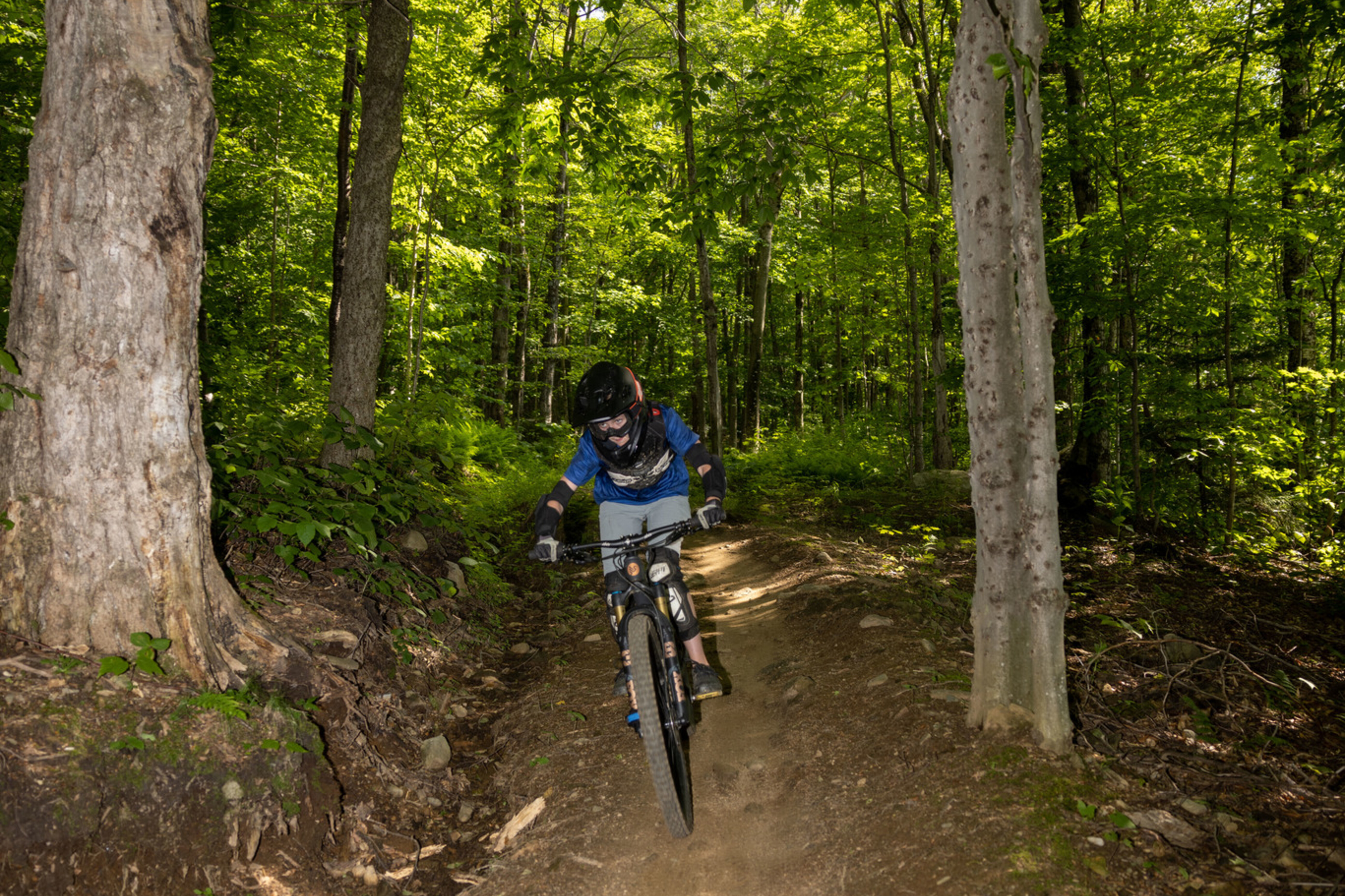 A cyclist navigates a dirt path through a lush green forest.