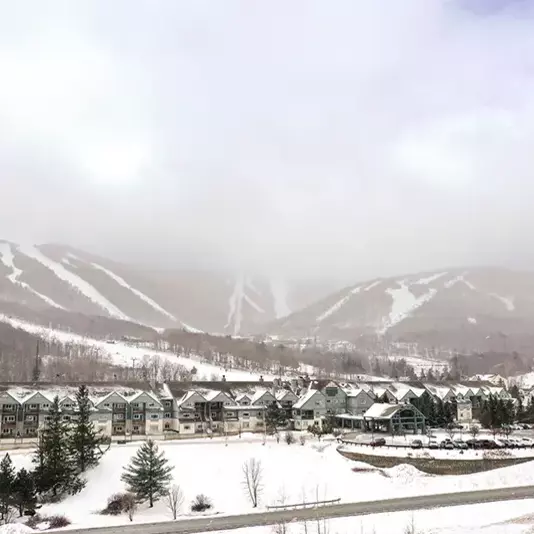 Snow-covered mountains loom over a valley of cozy homes and trees.