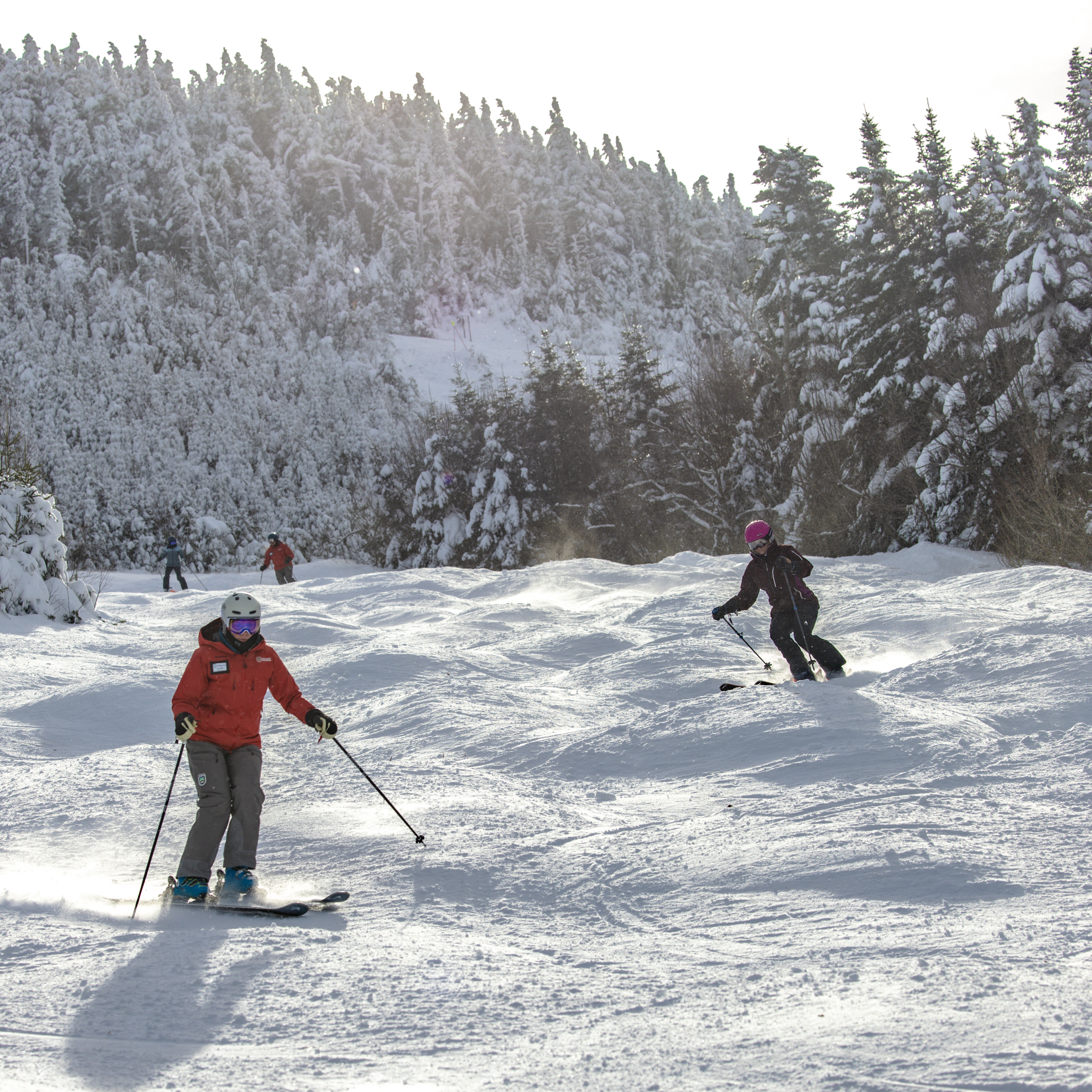 Skiers navigate snowy terrain with trees in the background under bright sunlight.