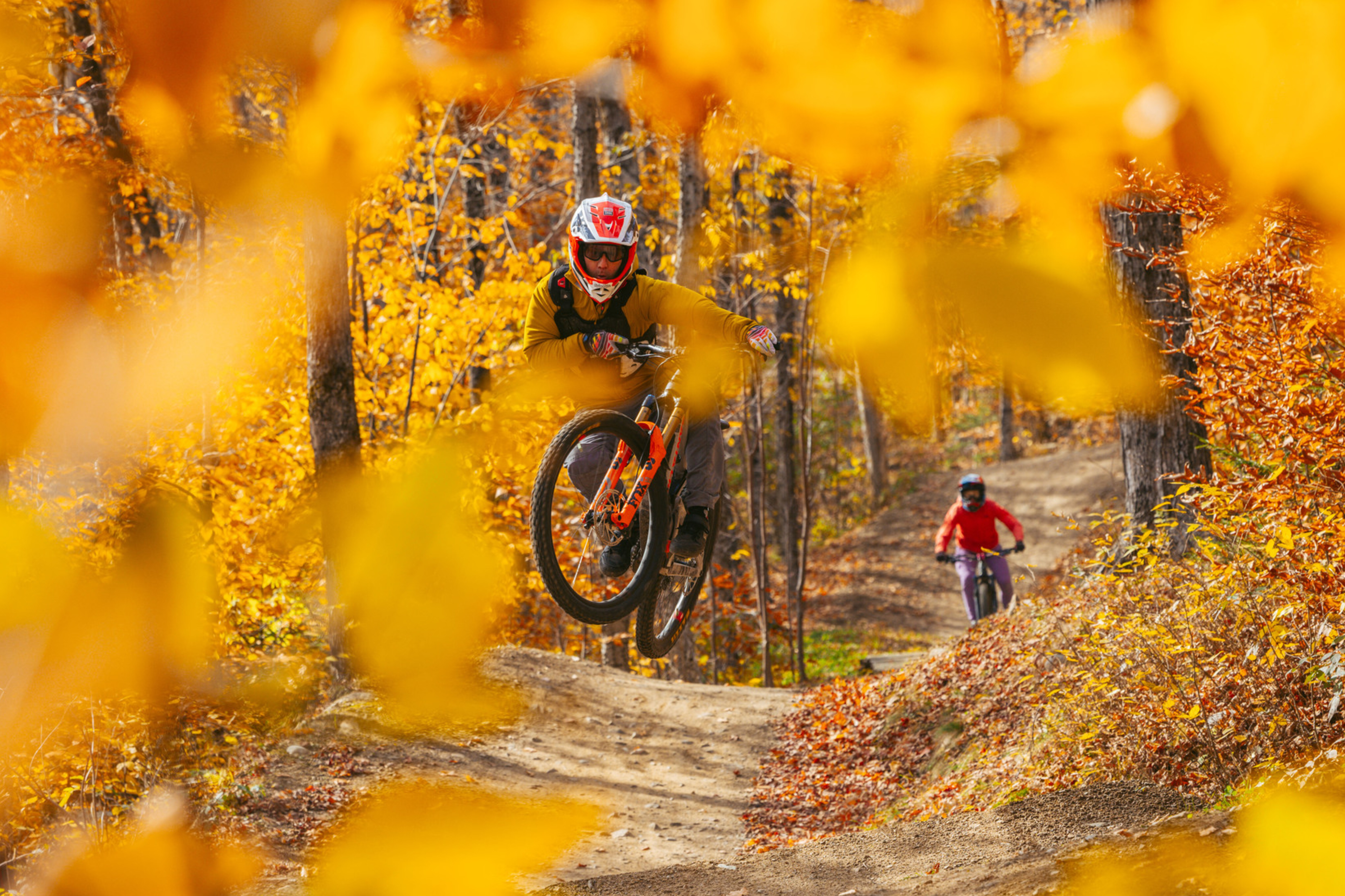A mountain biker jumps through autumn leaves on a forest trail.