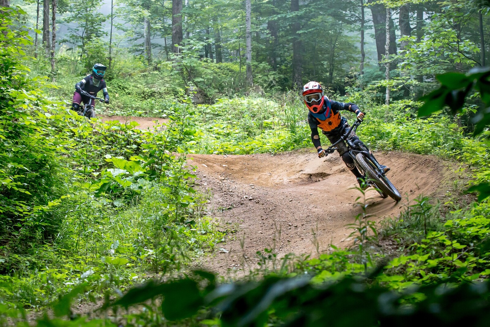 Two mountain bikers navigate a dirt trail surrounded by lush greenery.