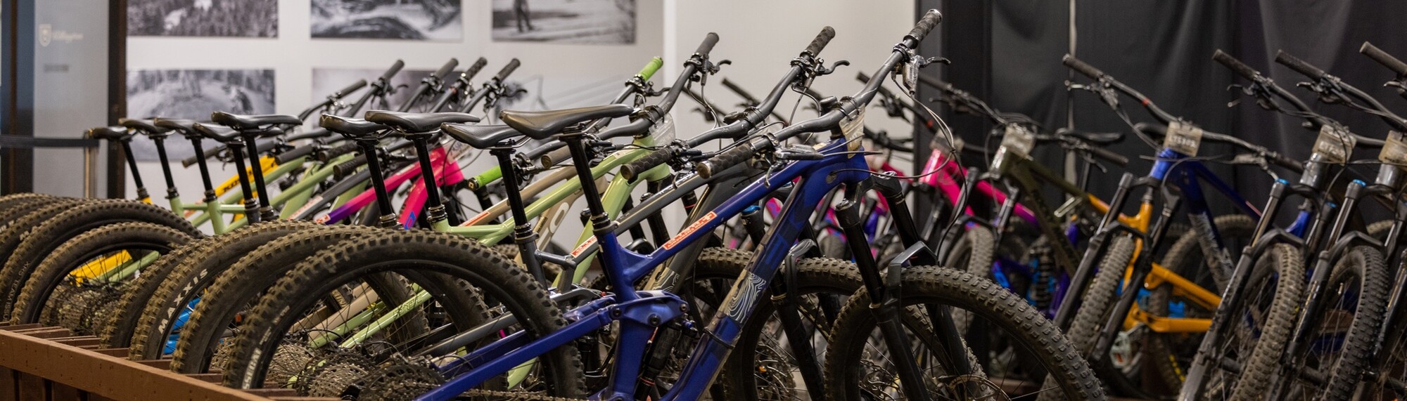 Bikes of various colors lined up for display or rental in a shop.