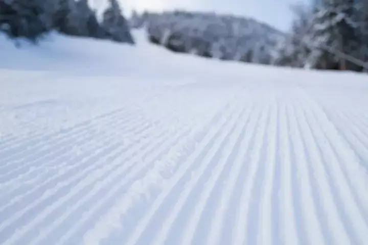 Freshly groomed ski slope with snow patterns and trees in the background.