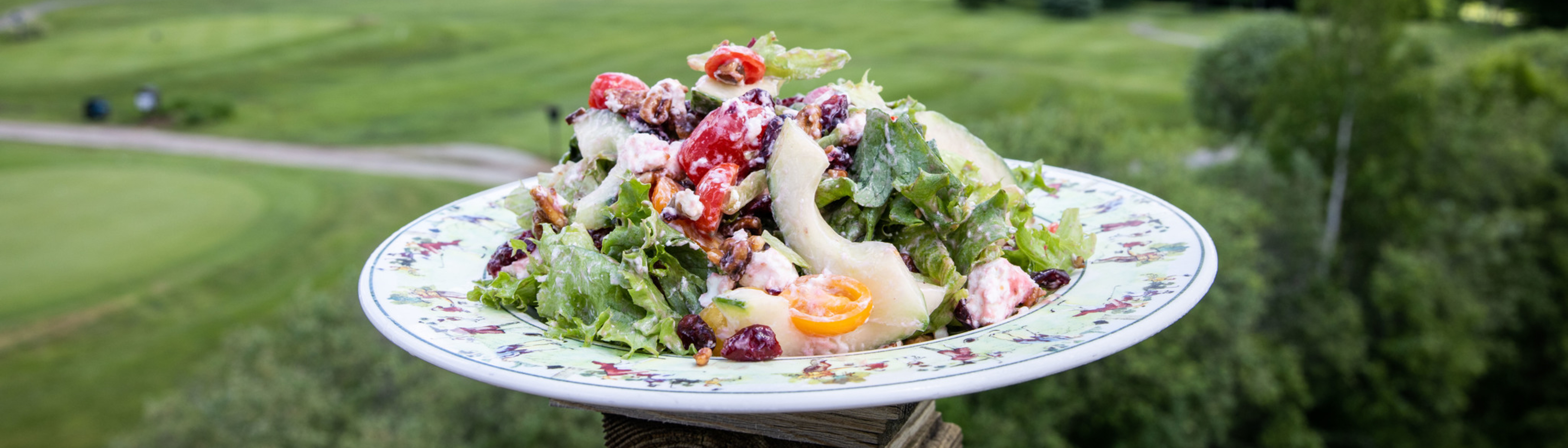 A colorful salad served on a decorative plate, set against a green landscape.