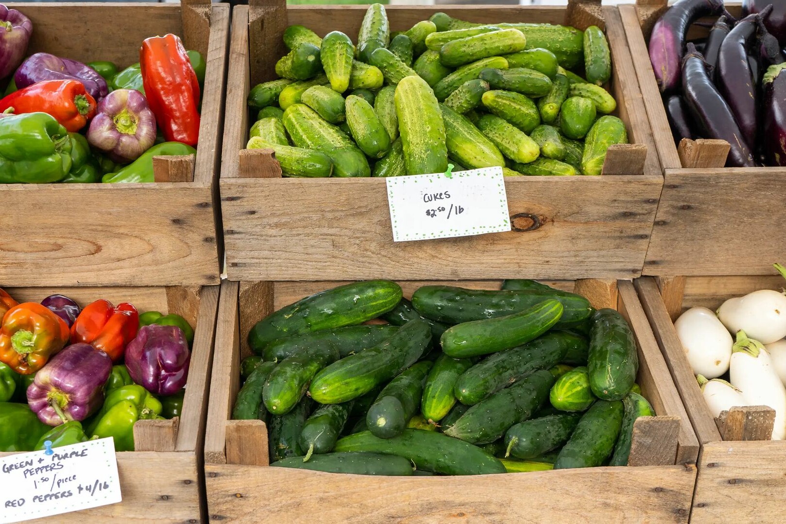 Baskets of colorful peppers, cucumbers, and eggplants at a market.