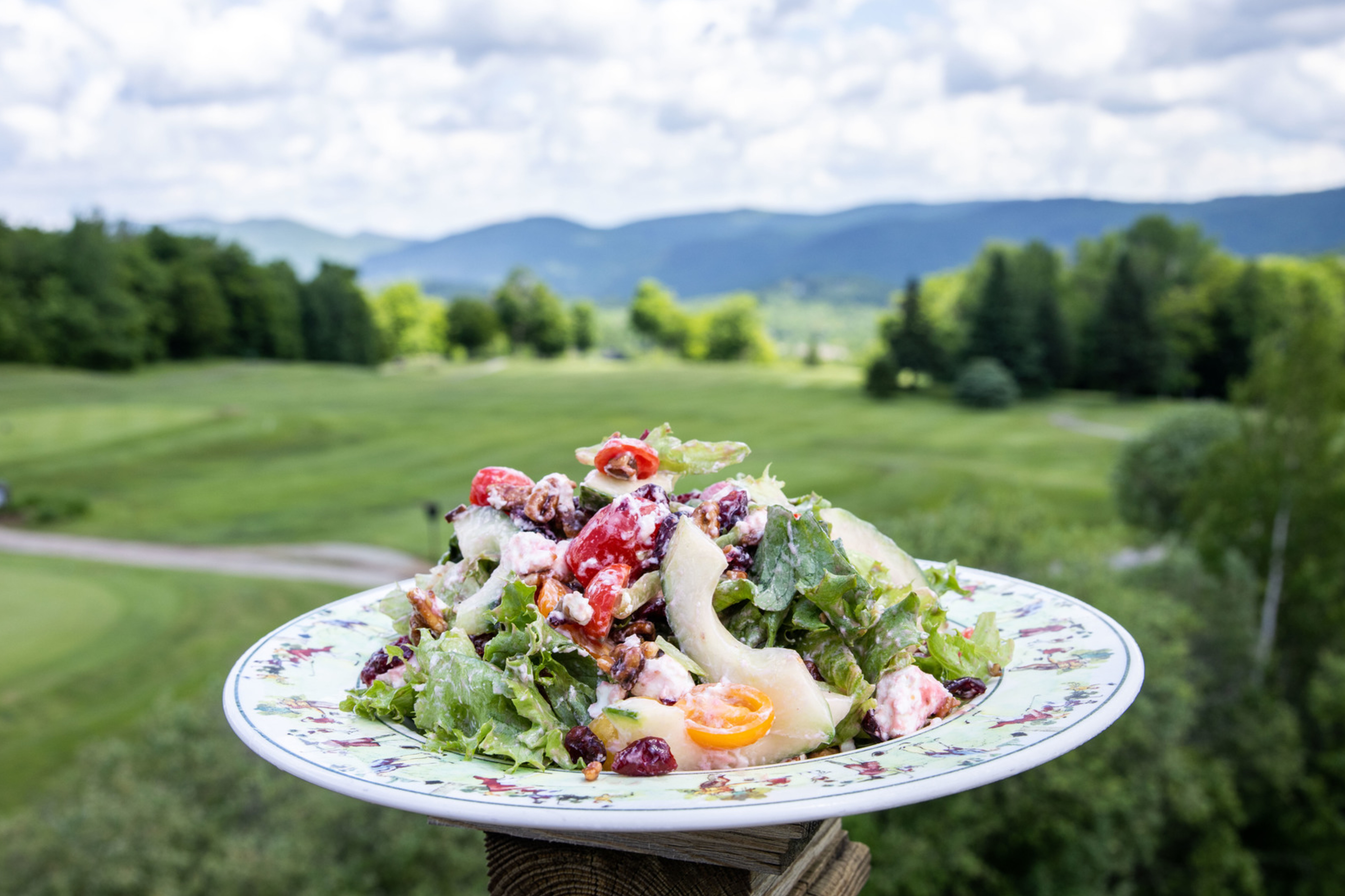A colorful salad served on a decorative plate with a green landscape in the background.