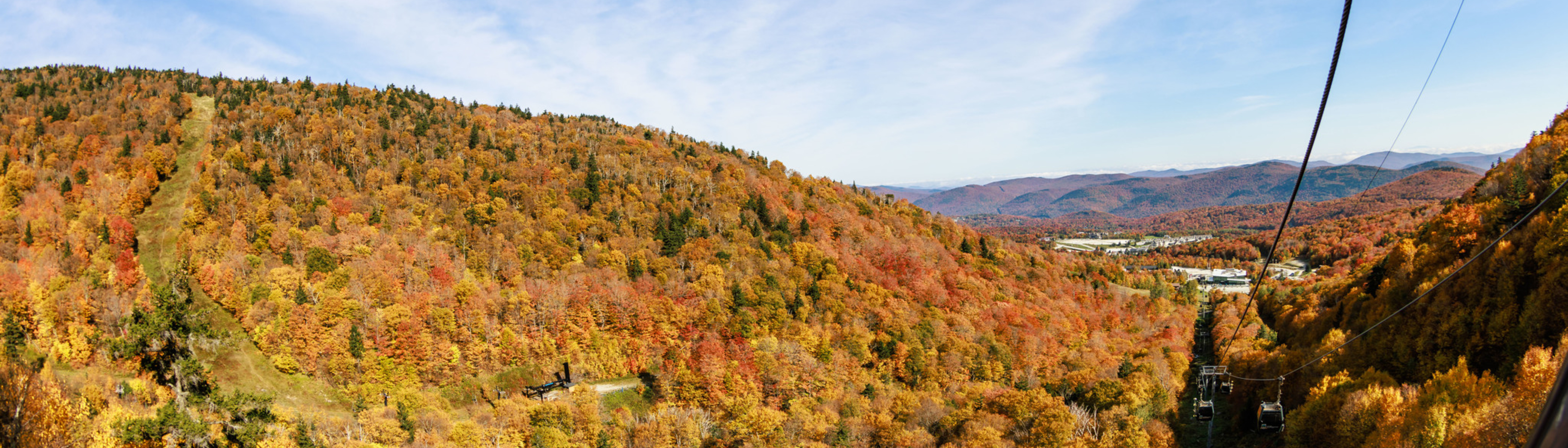 Panoramic view of a colorful autumn forest with mountains in the background.