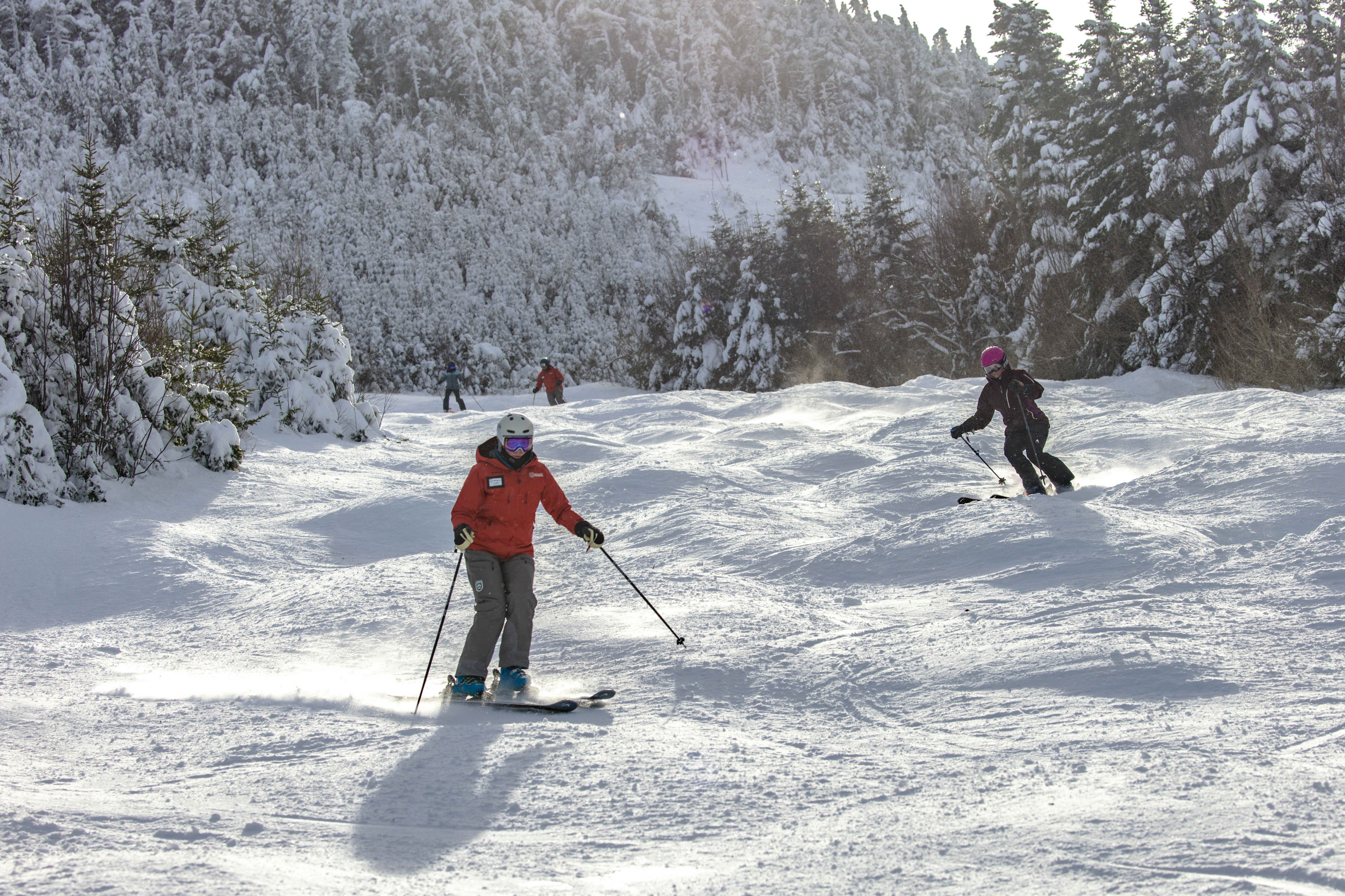 Skiers navigate a snowy slope surrounded by evergreen trees.