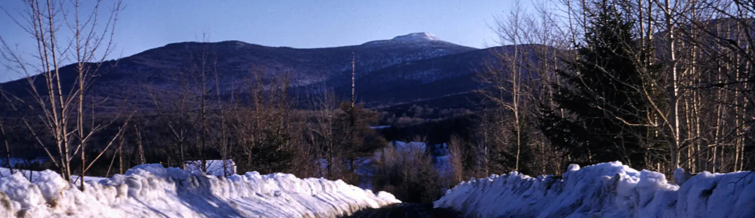 Snow-covered path leads to mountains under a clear blue sky, surrounded by trees.