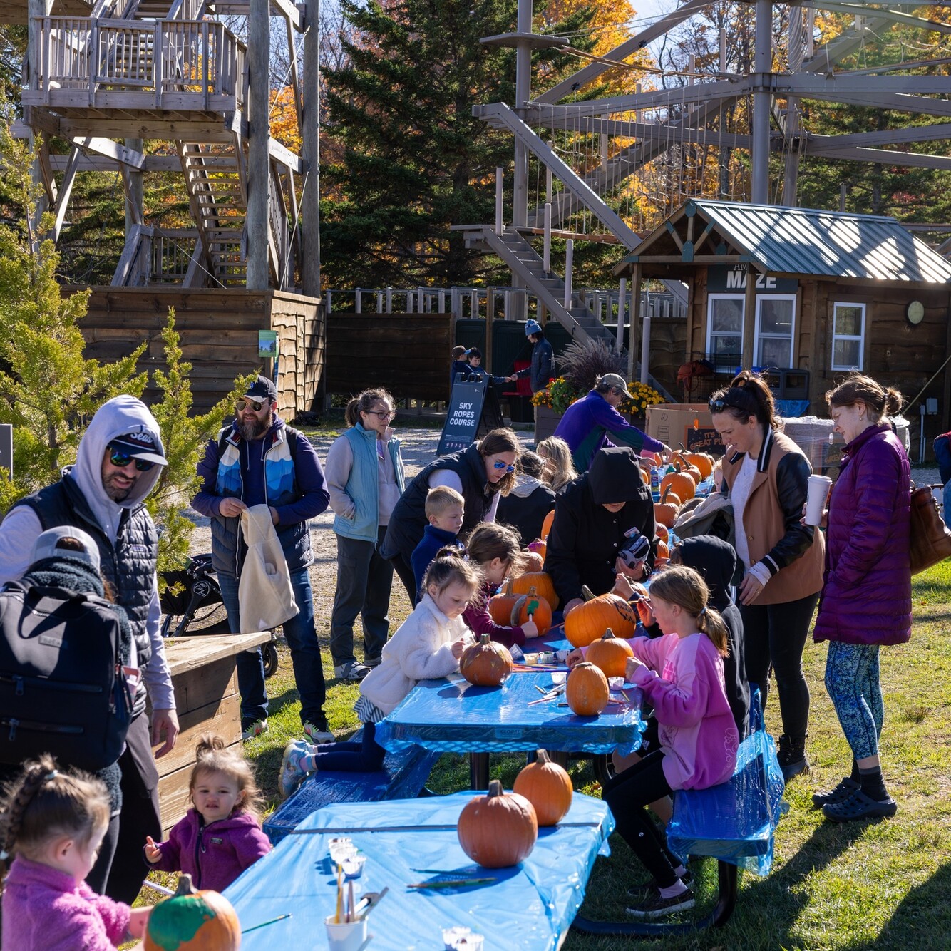 Families and children decorate pumpkins at a fall festival in a sunny outdoor setting.