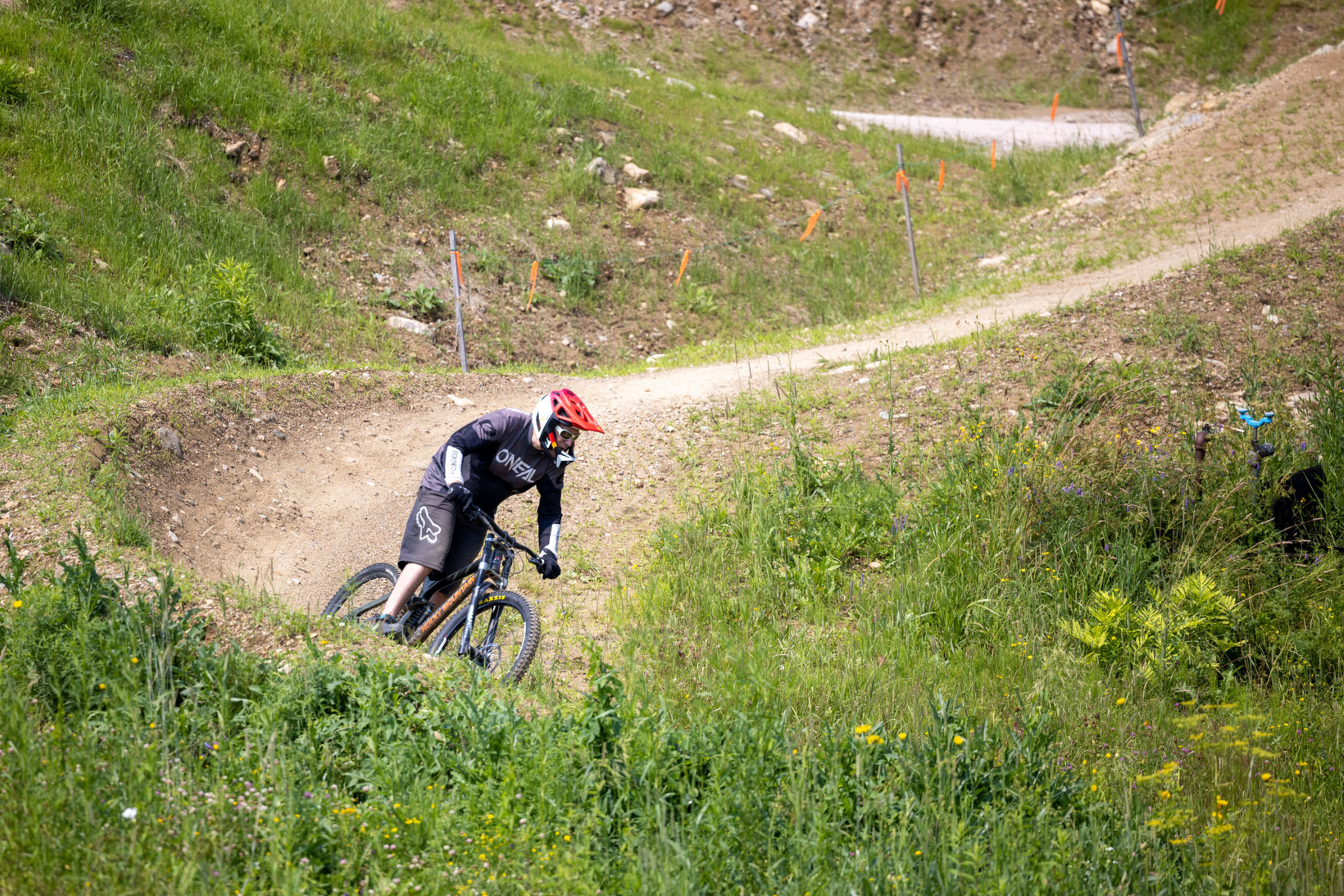 Mountain biker navigating a dirt trail with green grass and wildflowers around.