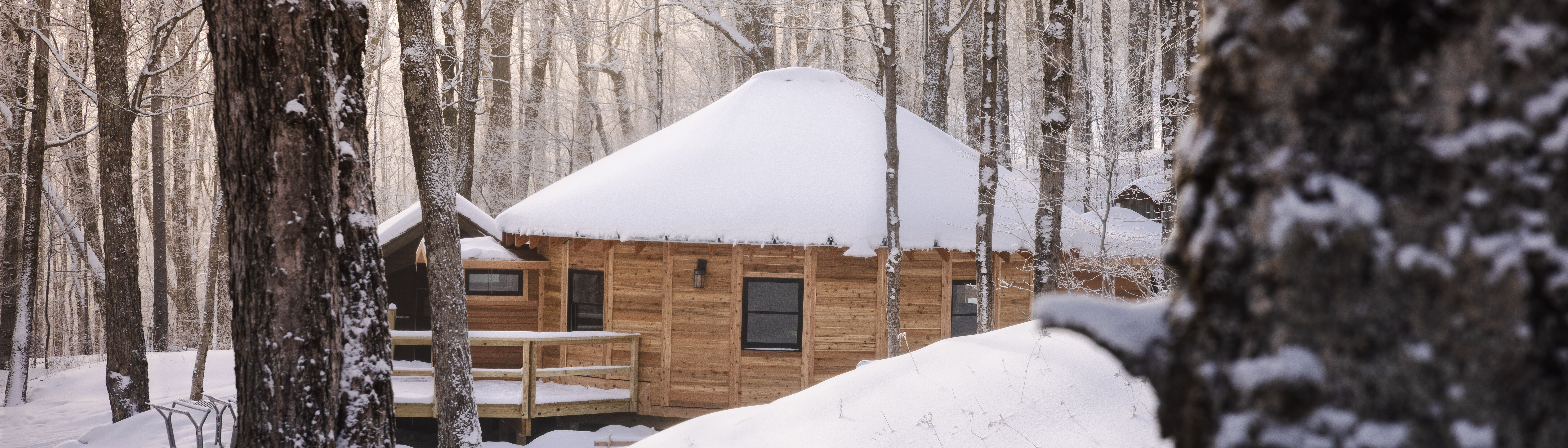 Wooden cabin with a snow-covered roof surrounded by trees in a winter forest setting.