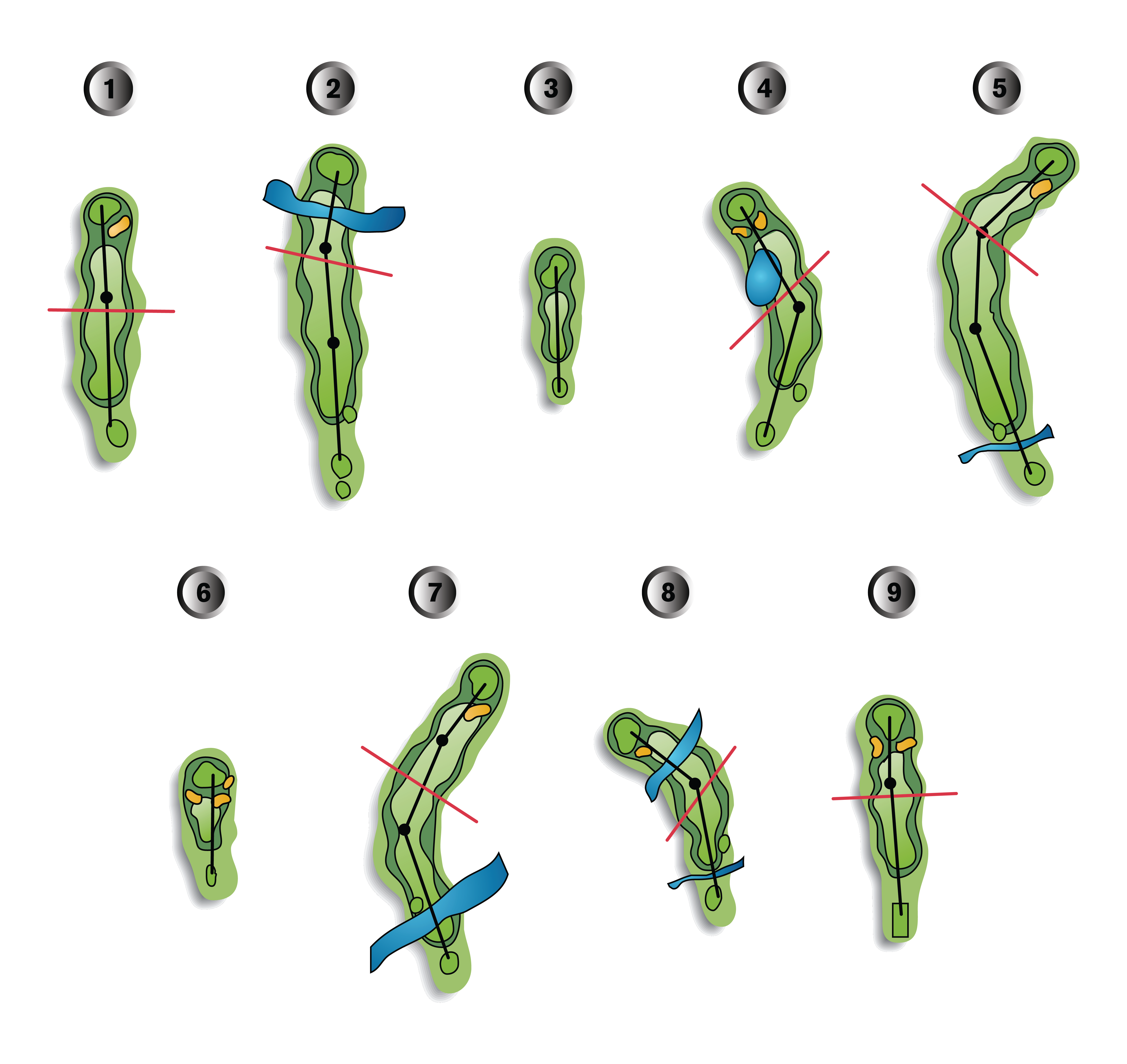 Diagrams illustrating the process of DNA recombination steps.